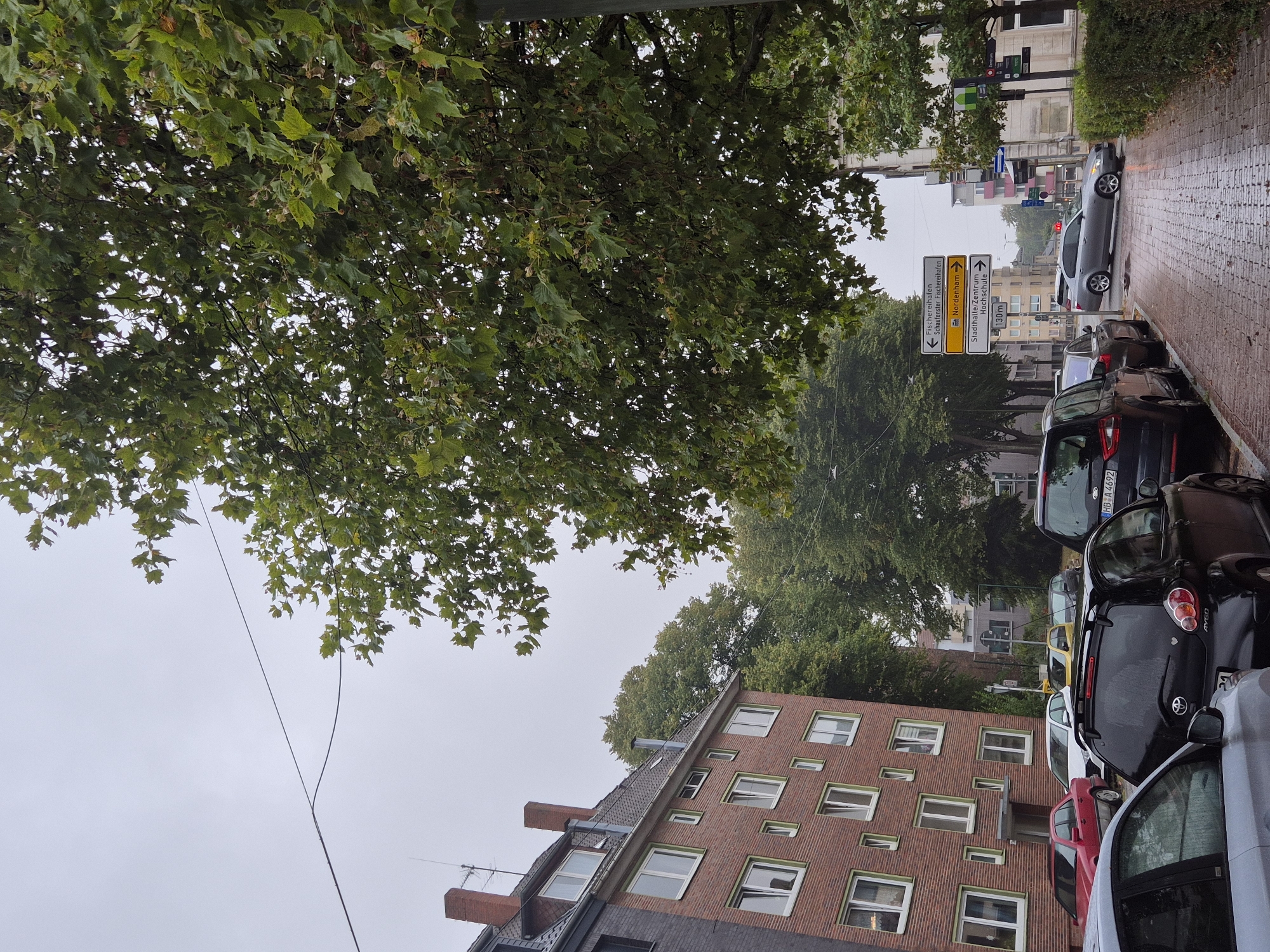 The image depicts a street scene in Bremerhaven, Germany, on an overcast day. In the foreground, a row of parked cars lines a wet, cobblestone sidewalk. The cars are of various colors and models, including a silver sedan, a black hatchback, and a dark SUV. A street signpost with multiple directional arrows stands near the sidewalk, indicating "Fischereihafen," "Schaufenster Fischereihafen," "Nordenham," and "Stadthalle/Zentrum Hochschule 130m."
To the left of the street is a multi-story brick apartment building with white-framed windows. Further down the street, more apartment buildings and trees are visible. A large tree with green leaves partially obscures the sky and the upper portion of the buildings. The overall environment suggests a residential or mixed-use urban area. There are no visible people in the image. The ground appears damp, indicating recent rain.