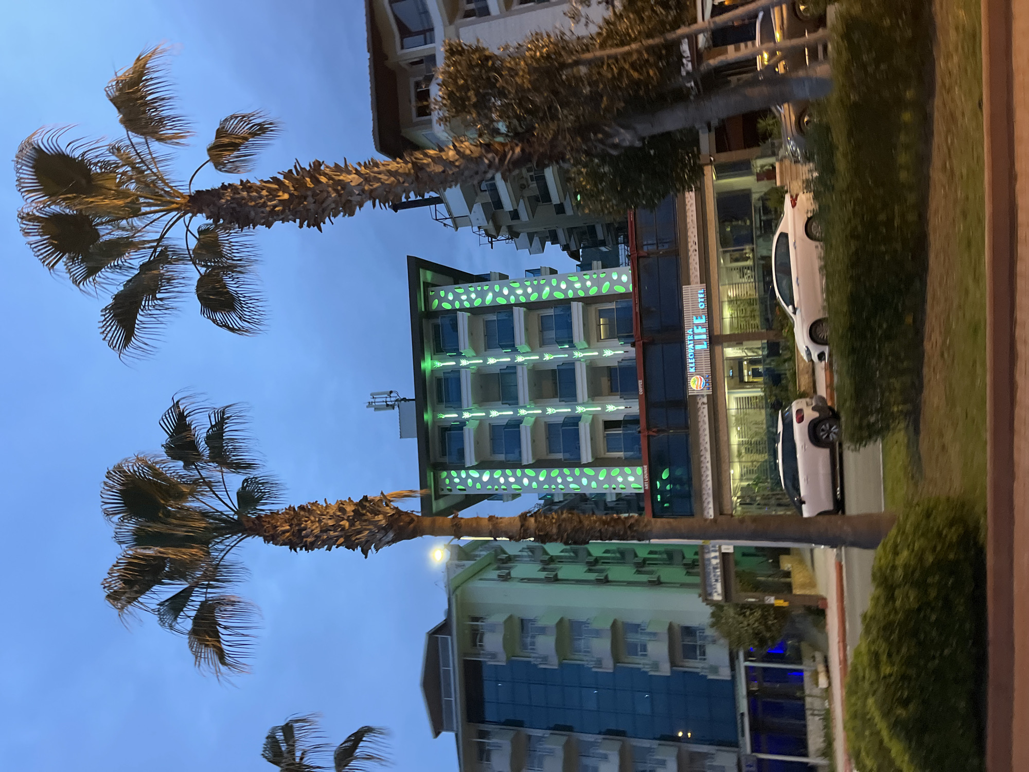 The image depicts a nighttime street scene in Alanya, Turkey, featuring the Cleopatra Life Hotel. The hotel is a multi-story building adorned with green decorative lights in the shape of arrows and stylized leaves, located between two other buildings. Tall palm trees frame the hotel against a backdrop of a dusk or dawn sky. A white car is parked along the street next to a patch of greenery, and the scene is partially obscured by trees and shrubbery. The hotel's signage is visible, alongside other commercial signs. There are no visible people in the image.