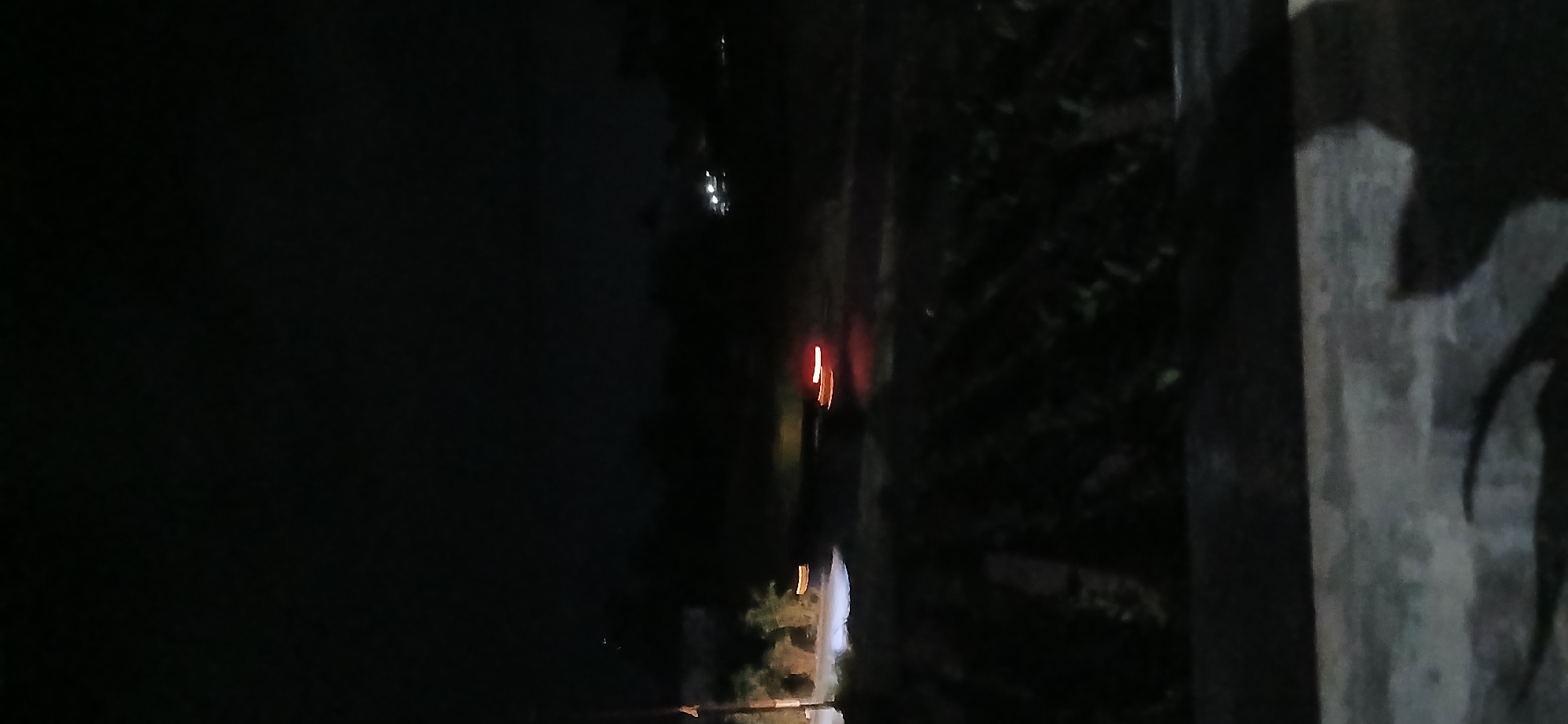 This is a vertical, low-light photograph of a rural road at night, likely taken in Sekarputih, Indonesia. In the foreground, there is a dark, blurry surface that appears to be a wall or railing, with faint shadows of organic shapes cast upon it. Beyond this, a field of plants is visible, appearing as dark rows with some texture. Further in the background, a road curves through the darkness. Two sets of blurred, elongated lights are visible on the road, indicating moving vehicles. The lights are a bright yellow-orange, suggesting headlights or taillights. There are dark masses of trees or foliage on either side of the road, and in the distance, there are faint, scattered points of light that could be distant homes or streetlights. The sky is completely dark. There are no discernible people or animals in the image. The overall impression is one of a quiet, rural setting at night, with the movement of vehicles being the only dynamic element.