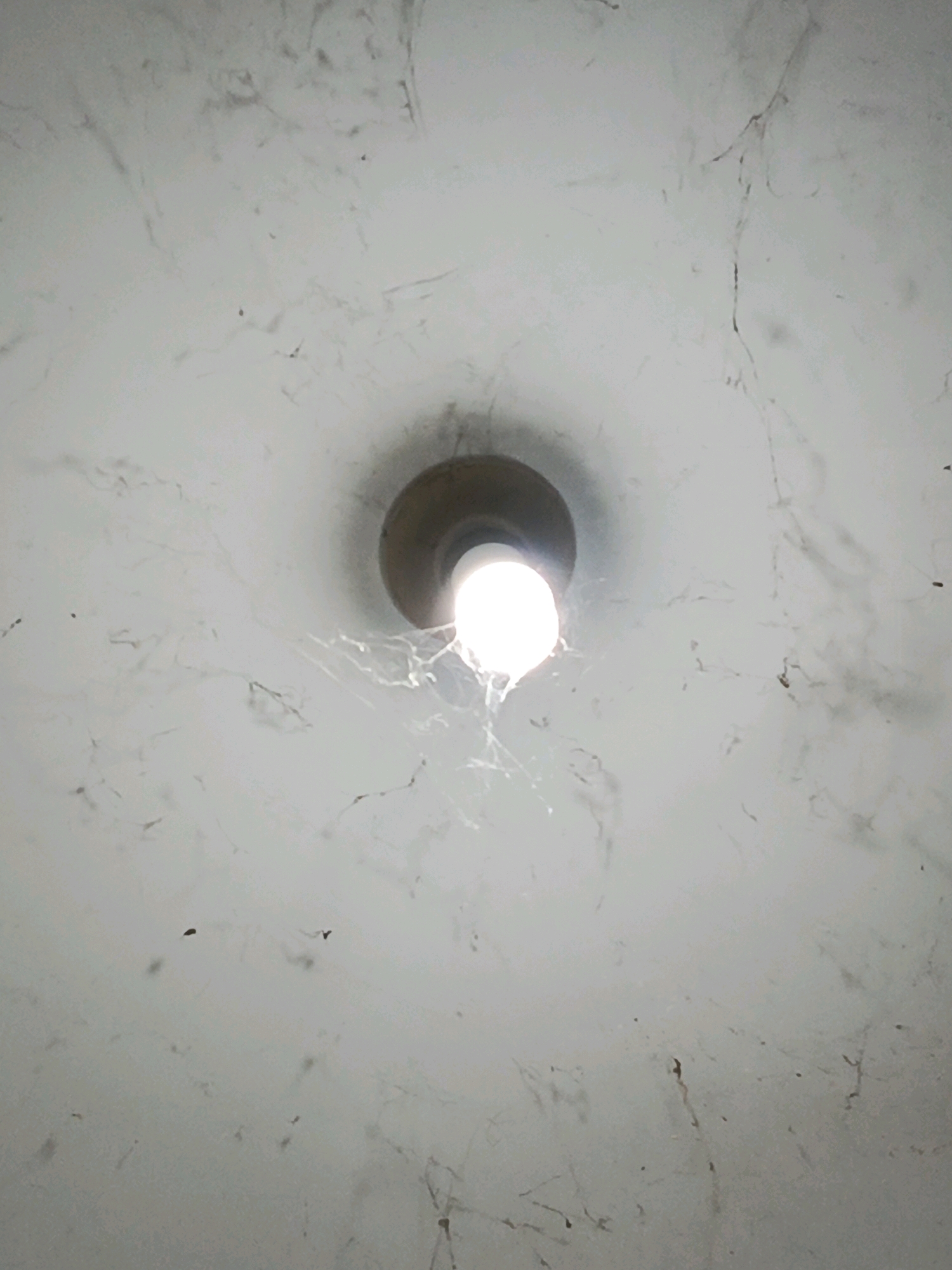 The image depicts a light fixture on a ceiling, likely in Pamekasan, Indonesia. The ceiling is white and appears to be slightly textured, with some faint grey marbling or discoloration. Several cobwebs are visible, some thin and dispersed, others forming more concentrated clusters around the light fixture. The light fixture itself has a dark, circular housing, and a bright white LED bulb is illuminated within it. The bulb casts a strong glow, creating a shadow around the fixture. There are also some small, dark specks scattered across the ceiling, which could be dust or small debris. The overall impression is of an indoor space that may not have been recently cleaned. There are no people or animals visible in the image, and no specific action is depicted beyond the illumination of the light bulb.