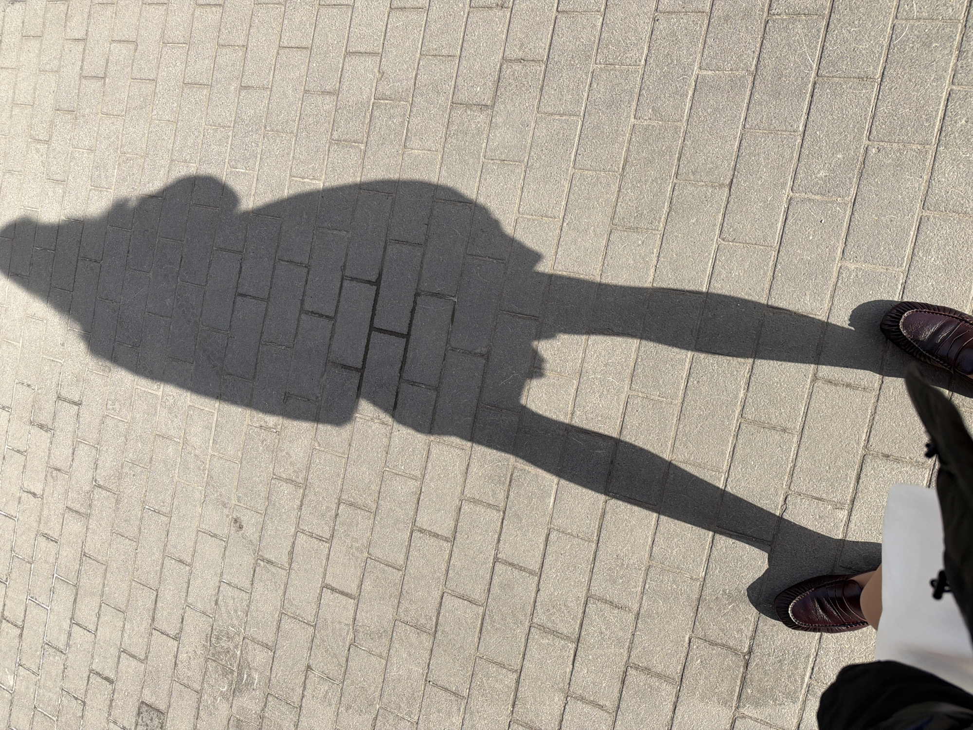 The image shows a person's shadow cast on a brick pavement. The person is wearing a skirt or shorts and shoes. The shoes are leather loafers with a burgundy tone. A partial view of the person's legs and part of their dress or coat is visible. The scene is outdoors, with the brick pavement suggesting an urban environment. It's not possible to determine the exact location in Moscow, Russia based solely on the image.
