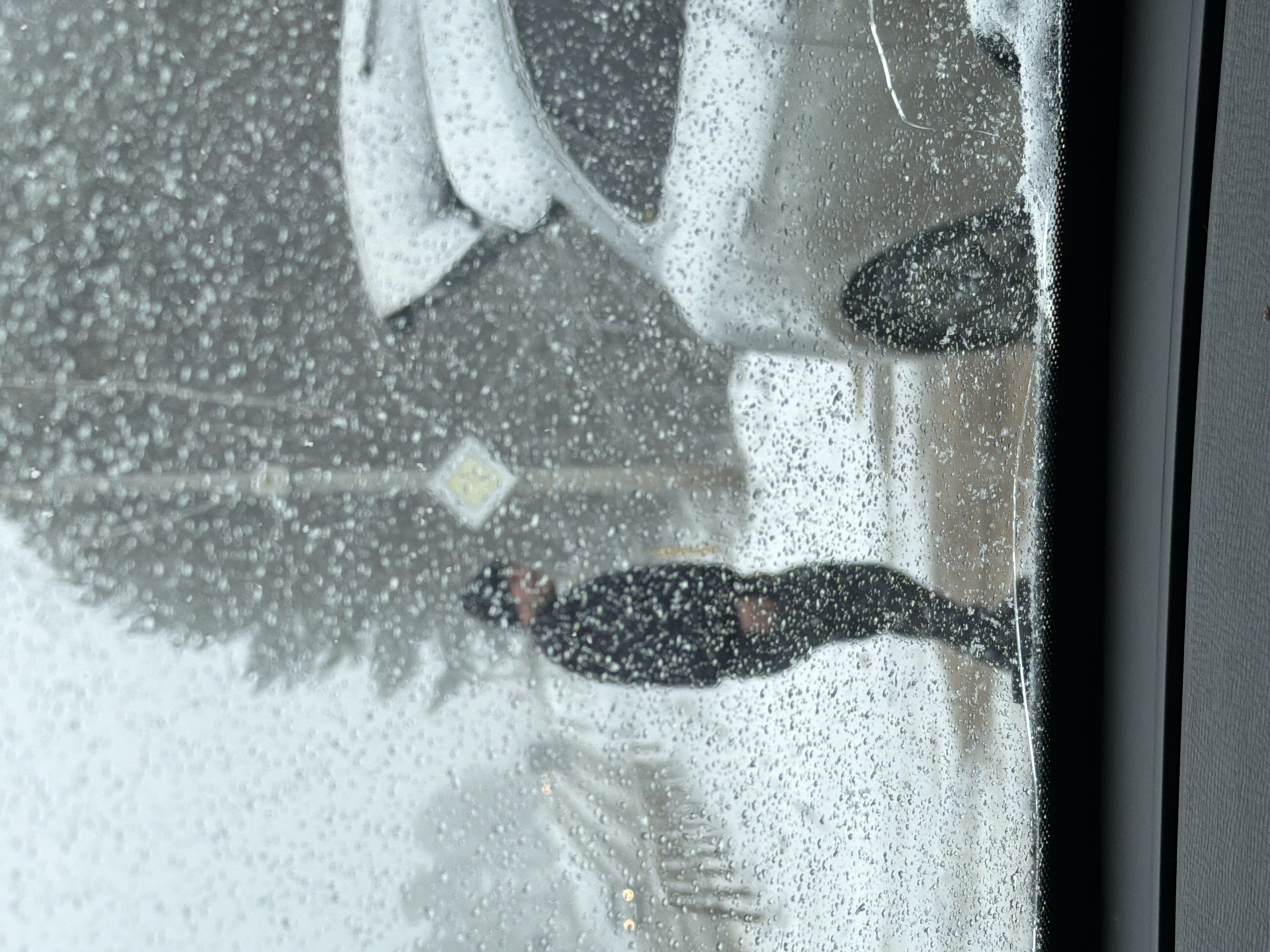 From within a building, the image shows a view of a snow-covered street in Chaikovsky, Russia. A person wearing a dark coat walks on the sidewalk, while a car drives past, and the street is lined with snow-covered trees. The view is obscured by moisture on the window.