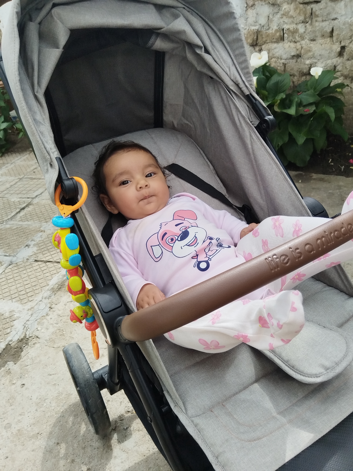 A close-up, eye-level shot captures a baby comfortably seated in a grey stroller outdoors. The baby, with dark hair and eyes, is looking directly at the camera with a neutral to slightly curious expression. They are dressed in a pink long-sleeved onesie featuring a cartoon dog graphic, and pink and white patterned pants with small floral designs.
The stroller has a grey fabric seat and canopy, a black frame, and a brown handlebar. Attached to the left side of the handlebar is a colorful baby toy with orange, blue, yellow, and red rings and animal shapes. The stroller handle, visible in the lower right, has the phrase "life is a miracle" embossed on it. A black safety harness is visible across the baby's chest.
The setting appears to be an outdoor paved area, possibly a patio or garden path, with light-colored concrete or stone slabs visible on the ground. In the background, behind the stroller, there's a light-colored brick or stone wall, with green foliage and white calla lilies growing in front of it, suggesting a garden environment. The natural lighting indicates it is daytime. One of the cropped images shows a mesh window in the stroller's canopy. Another crop reveals the texture of the stroller's grey fabric seat and the floral pattern of the baby's pants.