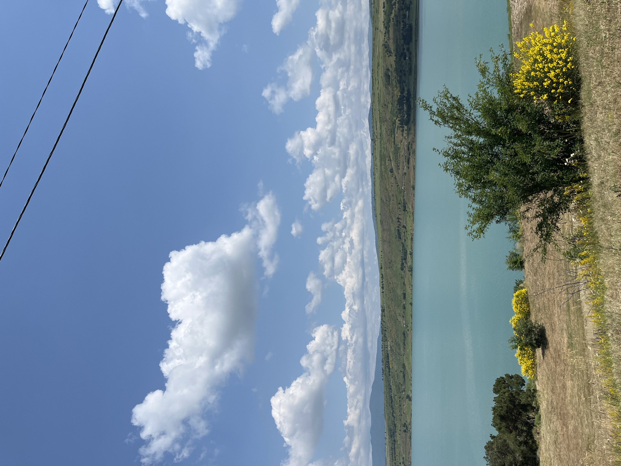 This is an outdoor, daytime, landscape photograph taken in Tbilisi, Georgia. The image features a large, turquoise body of water in the mid-ground, likely a reservoir or lake. The water is calm with subtle ripples. Beyond the water, rolling green hills covered with sparse trees and vegetation stretch towards the horizon. Distant, faint mountains are visible under a bright blue sky filled with fluffy white cumulus clouds. In the foreground, a dry, grassy slope is dotted with bushes, including a large green bush and a vibrant yellow flowering shrub. Two power lines are visible stretching diagonally across the upper portion of the image. No people or animals are present in the scene.