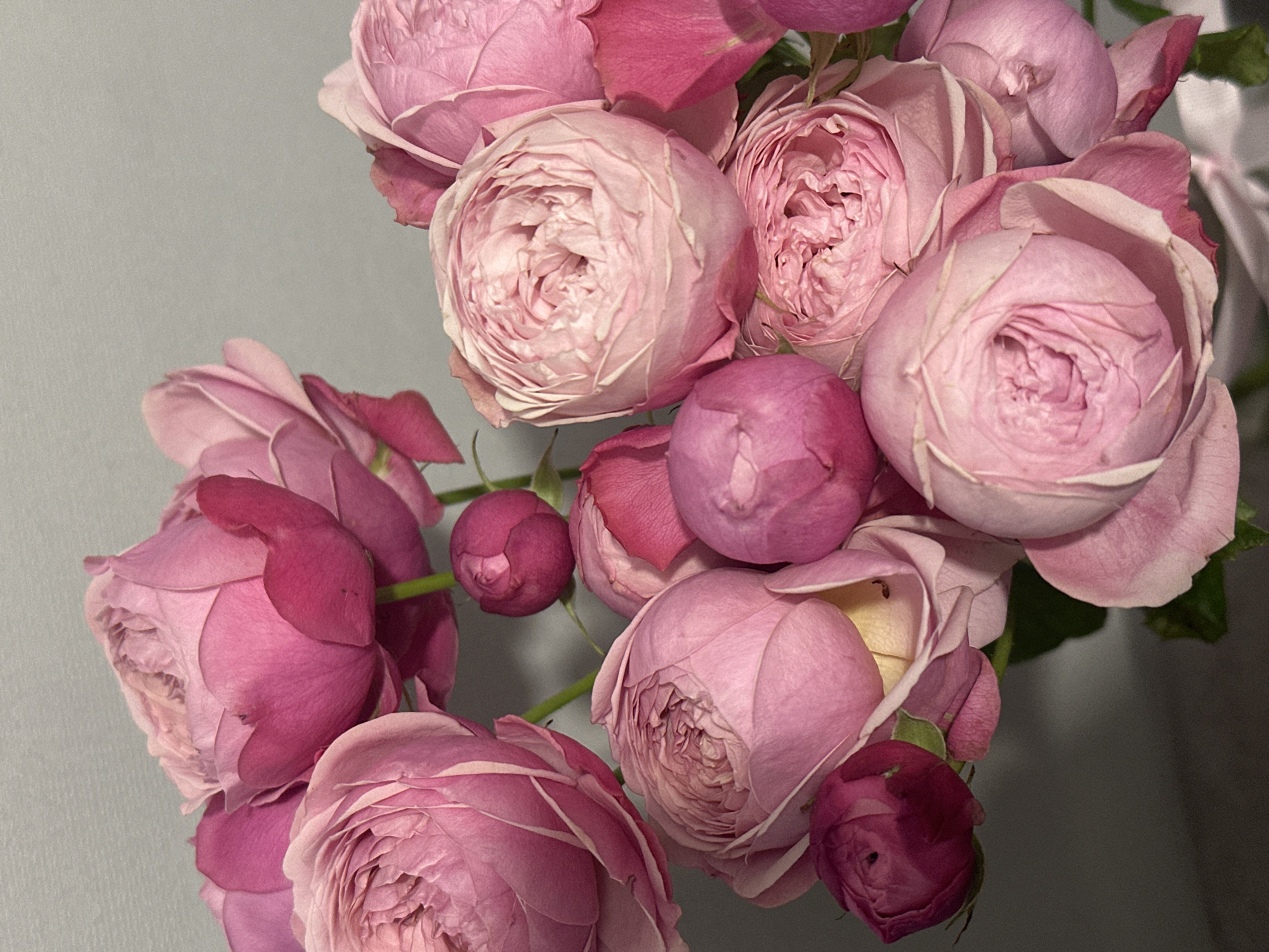 The image shows a close-up of a bouquet of pink roses. The roses are in various stages of bloom, from tight buds to fully open flowers. The color ranges from light pink to a deeper magenta. The background is a plain grey surface. There are no people or indications of a specific location in Kazan, Russia. The image consists only of the roses and the background.