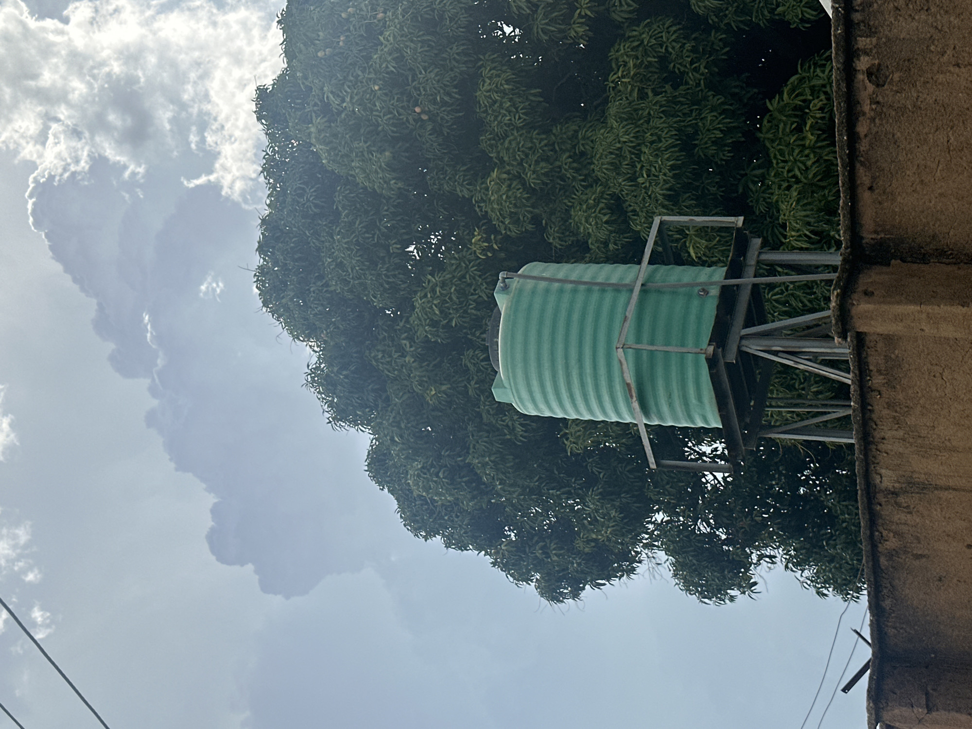 A green corrugated plastic water tank sits on a metal stand atop a brown cement wall. The tank is positioned in front of a large, dense green tree. The sky is overcast with large, dramatic clouds. Electrical wires are visible in the upper left corner of the image. The scene appears to be outdoors.