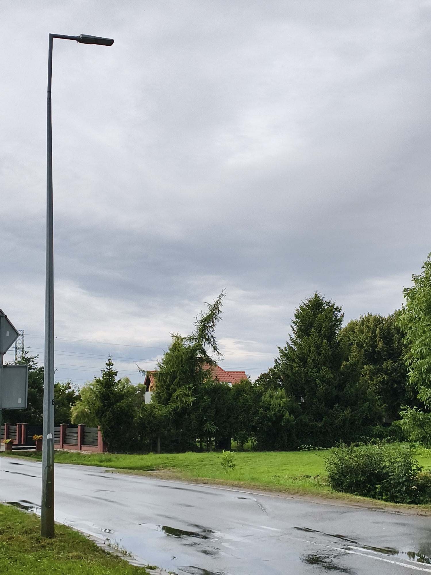 This is a vertical, medium-shot, outdoor, eye-level photograph of a street scene on an overcast day. The predominant features include a tall, thin, metal lamppost on the left side of the frame, a wet asphalt road with puddles reflecting the sky, and a line of coniferous trees bordering a residential area. The sky is filled with grey, textured clouds. A red-brick fence with wooden posts runs along the side of the road, separating it from a grassy area and the trees. In the background, a red-tiled roof of a house is visible peeking through the dense foliage of the trees. There are no people or vehicles visible in the image. The environment appears to be a suburban or semi-rural street.