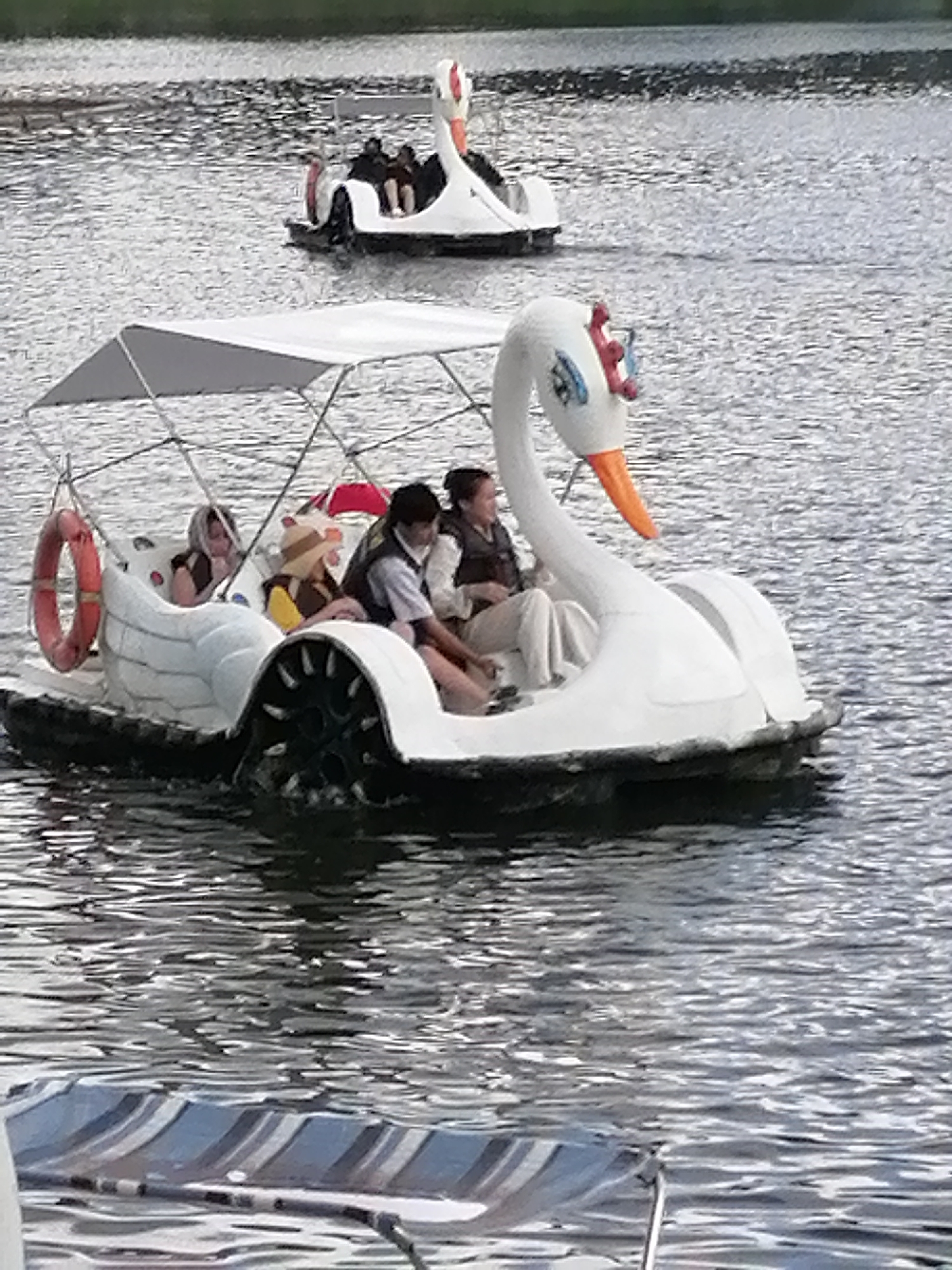 In Da Lat, Vietnam, on a body of water, two swan-shaped pedal boats are visible. The foreground boat, closer to the viewer, carries four individuals. Three are seated in the main compartment, while one person is partially visible in the front. All appear to be wearing life vests. The boat has a white canopy providing shade. The boat's sides are white and sculpted to resemble a swan's body. A red life preserver hangs from the side. The background boat, further away, also has individuals on board and is smaller. The water is choppy with reflections of the sky and surrounding greenery. The overall scene depicts recreational activity on the water.