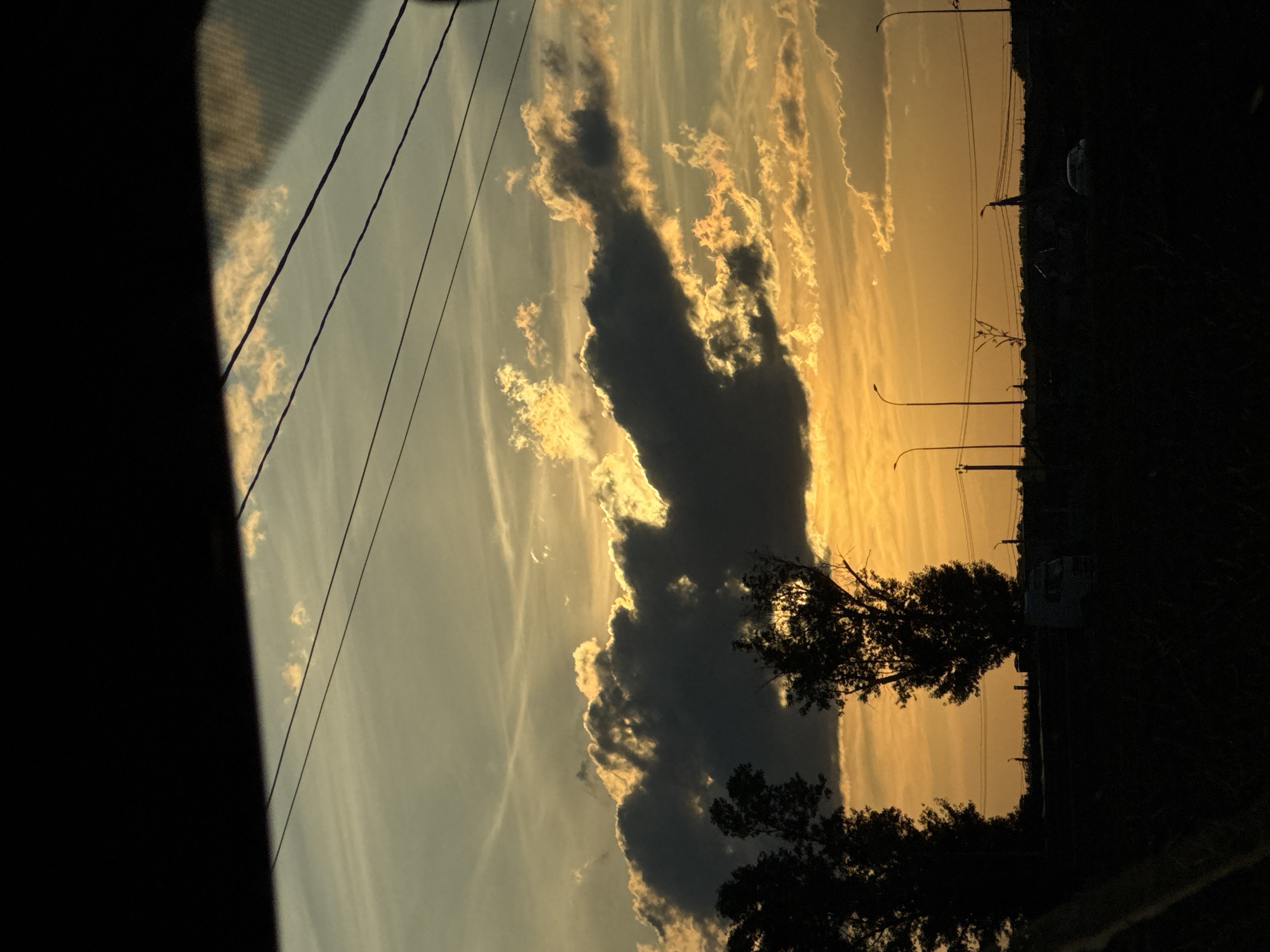 A silhouette of trees stands against a warm sunset sky in Mikhaylovsk, Russia. The sky is filled with dramatic clouds, some dark and ominous, others tinged with golden light from the setting sun. Power lines crisscross the sky, adding a sense of urbanity to the natural scene. In the foreground, the dark silhouettes of trees and vegetation are visible. In the middle ground, the outline of a truck and other indistinct vehicles can be seen, suggesting a road or industrial area. Streetlights are also visible, hinting at the proximity of infrastructure. The overall impression is one of a quiet, end-of-day scene in a rural or semi-urban setting.