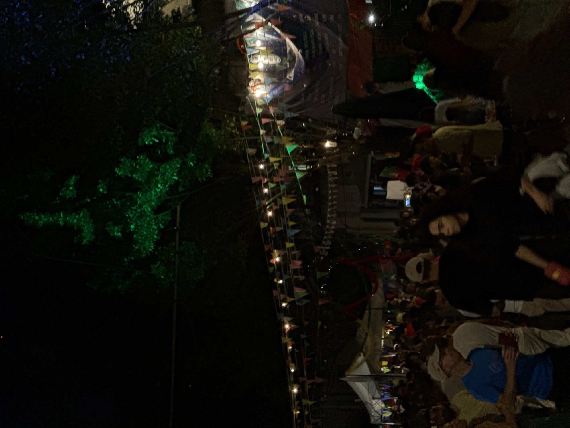 The image captures a nighttime scene in Porto, Portugal, likely during an outdoor event or festival. A dense crowd of people is visible, with many appearing to be socializing or observing something. The setting is dark, illuminated by artificial lights, including strings of colorful triangular flags and small light bulbs that create a festive atmosphere. There's a prominent display of greenery, possibly trees, on the left side of the frame, some of which are lit with a bright green light, adding a surreal quality to the scene.
In the foreground, several individuals are depicted in varying degrees of clarity. Some are looking towards the viewer, while others are engaged with each other or the event. One person in the upper right appears to be wearing a dark top and has their arm extended. Towards the bottom of the frame, a few individuals are more clearly visible, including one wearing a blue t-shirt and another in a light-colored shirt. The overall mood seems lively and engaged, suggesting a public gathering or celebration.
Further back, a large banner or structure is visible, displaying various images and text, though most of it is obscured and illegible due to the low light conditions and image resolution. The presence of numerous people, decorative lights, and what appears to be a vibrant setup points towards a cultural event, street festival, or a public celebration taking place after dark. The orientation of the image suggests it was taken from a slightly elevated perspective.