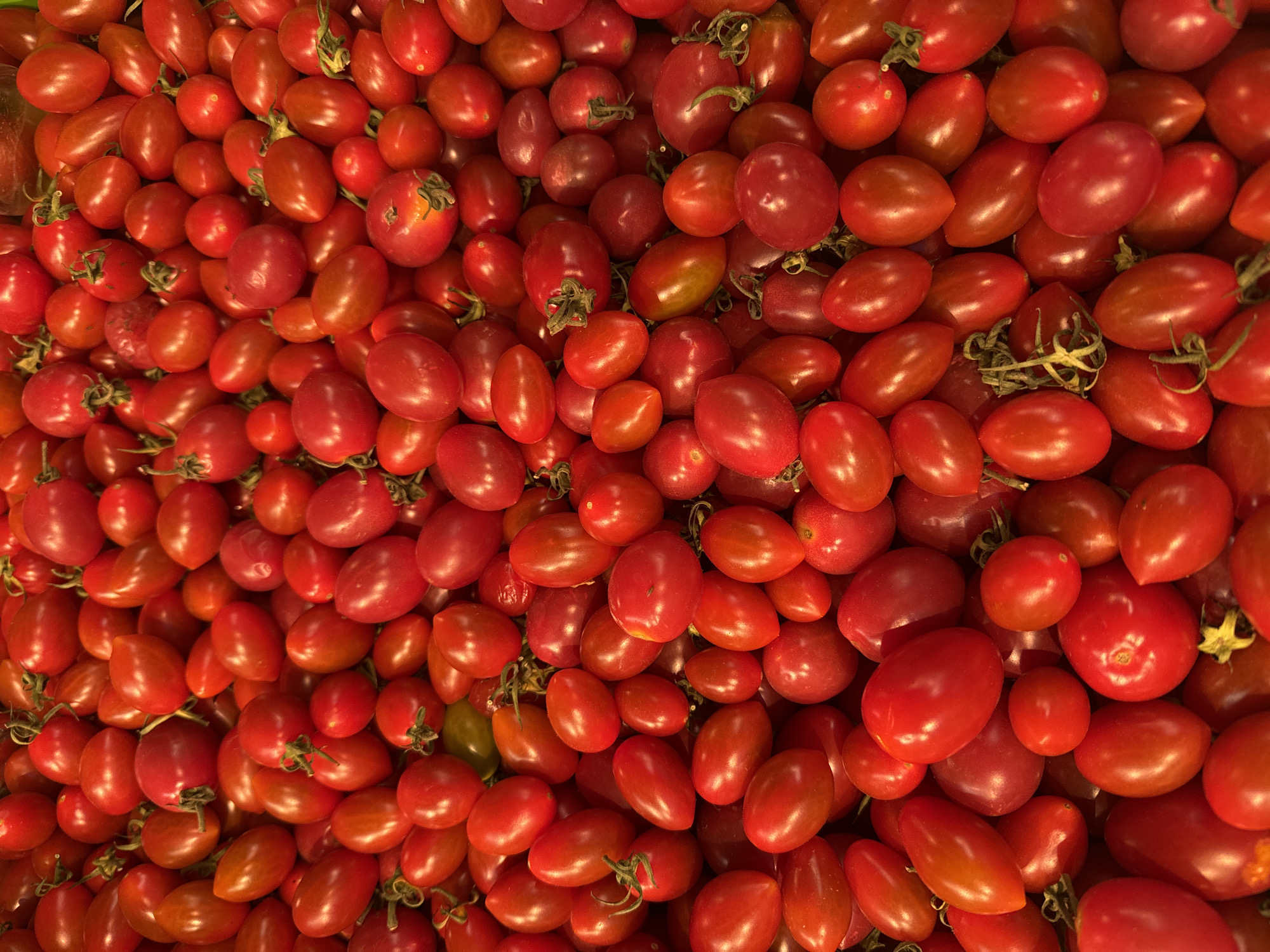 A close-up, top-down view of a large pile of ripe cherry tomatoes. The tomatoes are various shades of red, with some showing hints of orange and yellow. They are primarily oval or slightly elongated in shape, with some rounder specimens interspersed. The lighting casts subtle shadows, highlighting the textures and contours of the tomatoes. No people or specific location markers are visible.