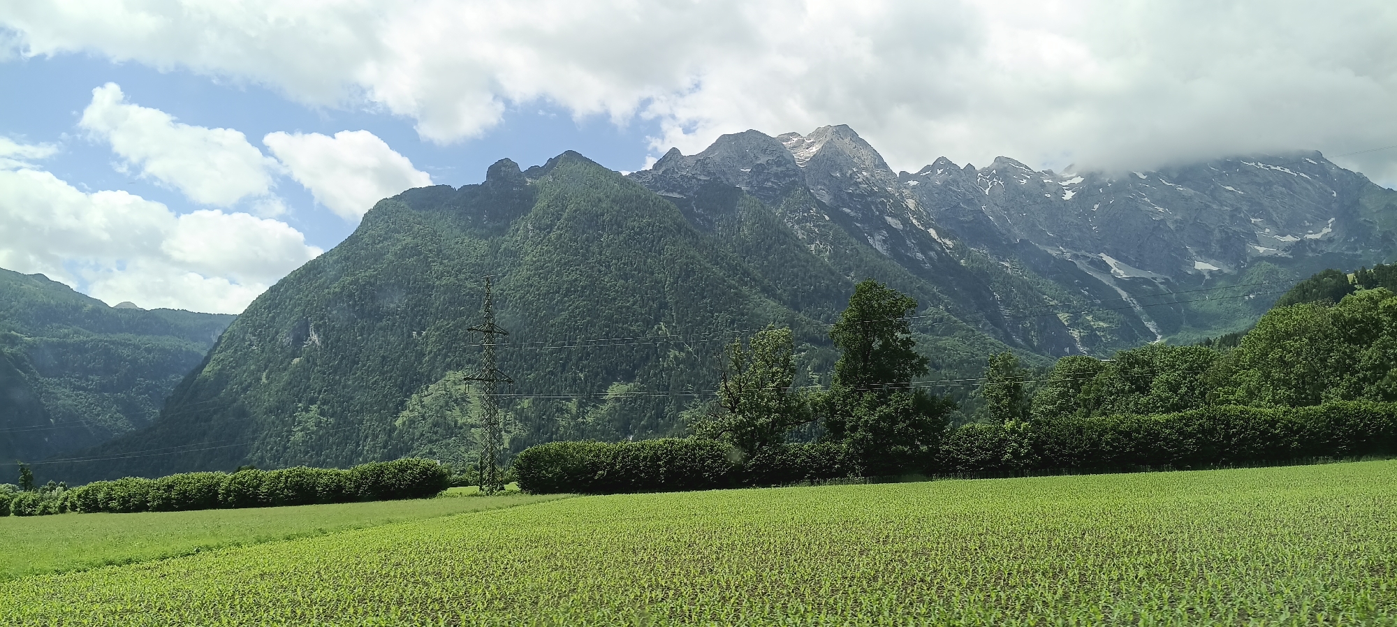 The image captures a wide, scenic view of the Austrian Alps near Kellau. In the foreground, a vast, lush green field of young crops stretches across the frame, appearing to be a cultivated farm. Behind the field, a dense line of dark green trees and hedges creates a natural barrier. Further back, a towering metal electricity pylon stands tall, its structure a stark contrast to the natural landscape. Beyond the pylon and trees, the majestic, tree-covered slopes of the Austrian Alps rise dramatically. The mountains are rugged and imposing, with some peaks displaying patches of snow and bare rock, indicating a significant elevation. The sky above is a mix of bright blue with scattered white clouds, suggesting a clear, possibly warm day. The overall impression is one of natural beauty and rural tranquility, with a touch of human infrastructure integrated into the landscape.