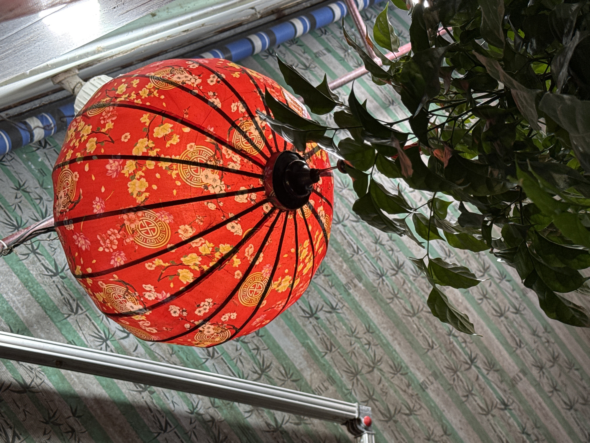 A low-angle shot depicts a red, round lantern with a floral pattern hanging outside. The lantern has black ribs and a dark center. Green foliage partially obscures the lantern. The background is a striped wall with faint plant designs. A metal bar runs along the bottom left. The location is suggestive of Hội An Ward, Vietnam, based on the lantern style.
