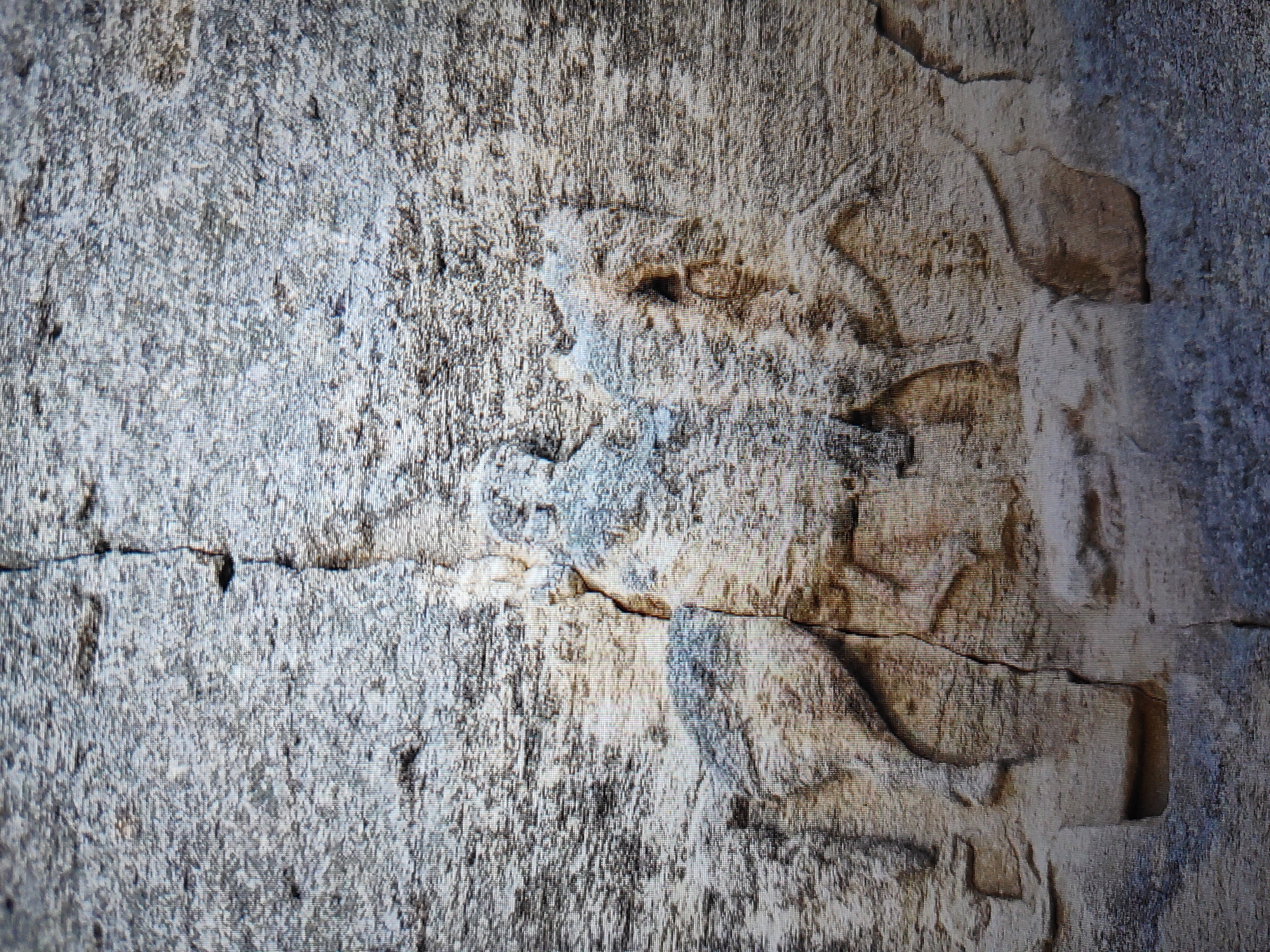 The image shows a close-up of weathered stone carvings in Kaspichan, Bulgaria. The carvings appear to depict a human-like figure, though the details are obscured by age and erosion. The stone is a light tan color with variations in tone due to the texture and shadows. There are cracks running across the surface of the stone.