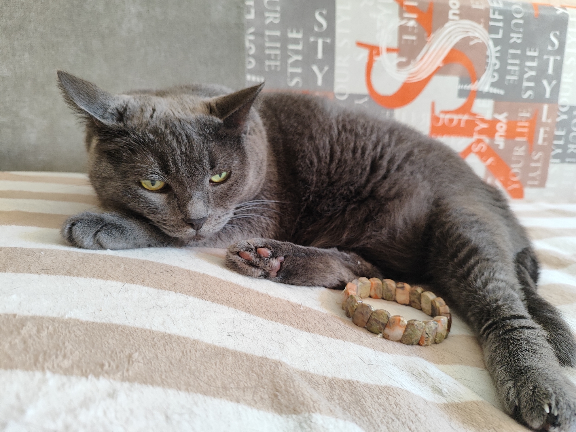 A grey cat with yellow eyes is lying on a striped blanket. Behind the cat is a wall with a pattern of words and large letters. A bracelet made of stone beads is next to the cat's paw.