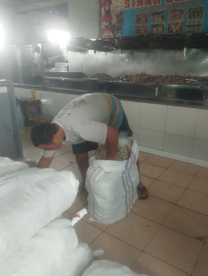 An indoor scene, likely a food preparation or market area in Baleendah, Indonesia, depicts a man engaged in handling bulk goods. The man, wearing a light-colored t-shirt with blue and yellow stripes, dark shorts, and flip-flops, is bent over a large white sack, actively filling it with numerous small, light-colored, round items, possibly nuts or seeds. His hands are inside the sack, indicating the transfer of contents.
On the tiled floor to the left, several other large white sacks are visible, suggesting storage or processing of similar items. The sack the man is filling is distinct with its blue and red stripes.
In the background, a long metal counter or cooking station spans the scene. A wide tray on this counter is filled with a large quantity of small, brownish, round items, possibly peanuts, indicating a food business. Above the counter, metal racks or skewers are present. A bright light source in the upper left creates a slight glare.
On the wall above the counter, a sign or poster is visible, featuring an illustration of a woman. The word "SINAR" is prominently displayed in red lettering, followed by partially legible Indonesian text below. The man appears focused on his task within this commercial setting.