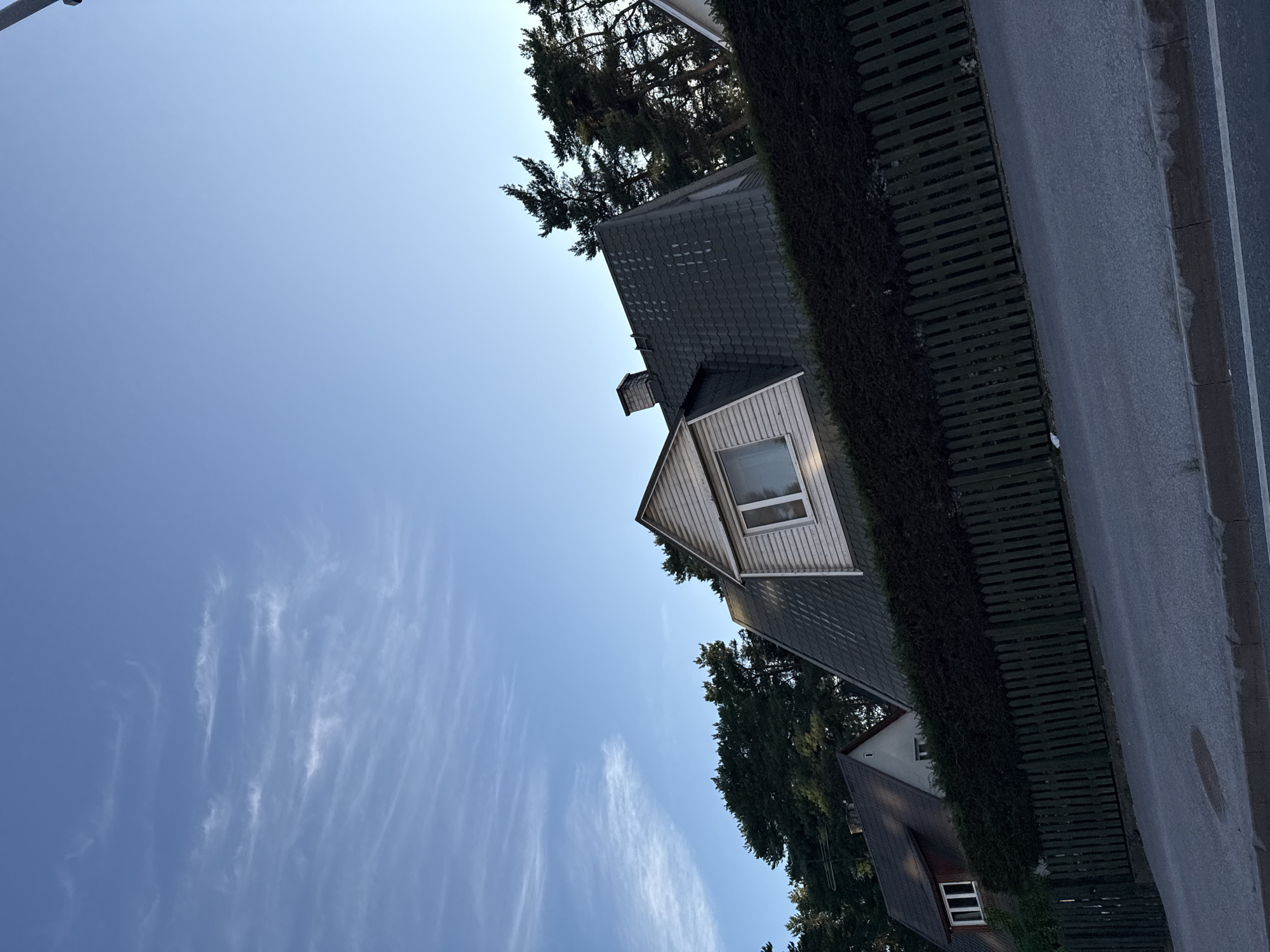 The image depicts a residential street scene, likely in Tallinn, Estonia, under a clear blue sky with wispy cirrus clouds. The perspective is angled, looking up towards a row of houses. The foreground shows a dark asphalt road with a curb and a concrete median. A dark green wooden picket fence runs along the property line, topped with a thick, manicured dark green hedge.
Behind the fence, several houses are visible. The most prominent is a multi-story house with a dark, possibly tiled, mansard roof. A dormer window with white trim protrudes from the roof on the visible side, featuring a single pane window. The upper walls of this dormer are clad in white horizontal siding. A dark chimney is visible on the main roofline.
To the left of this house, another house is partially visible, featuring a darker roof and a dormer window with three vertical panes. The upper part of this house has white siding. Further to the left, a house with a reddish-brown facade and white trim around its windows is also visible.
The background is dominated by a dense line of tall, dark green evergreen trees, primarily pines, which form a natural backdrop to the houses. The overall impression is one of a quiet, suburban neighborhood. There are no people or animals visible in the image. The lighting suggests it is late afternoon or early evening, with the sun casting a soft glow on the scene.