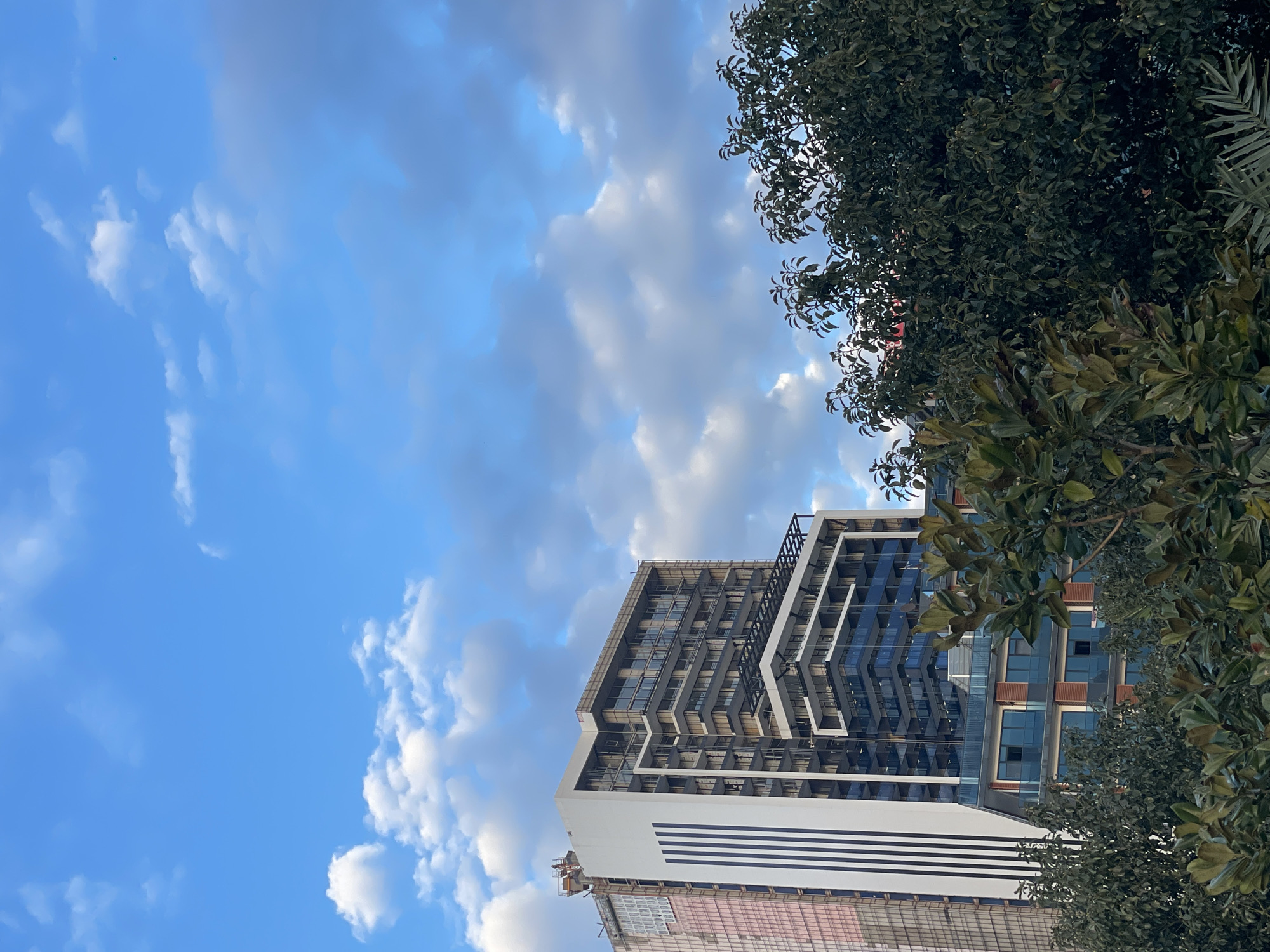 The image is an upward-angled shot of a modern building in Batumi, Georgia, partially obscured by foliage. The building has a mixed facade with glass and white paneling. The sky above is blue with scattered white clouds. The branches of trees are visible on the right side of the frame.