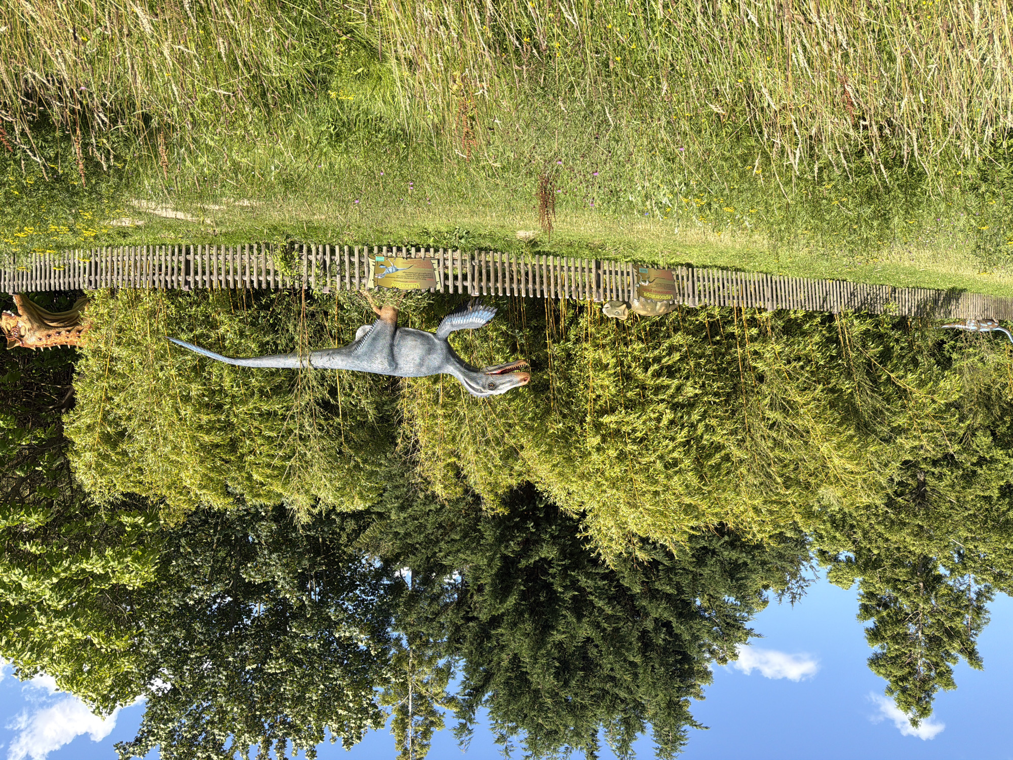 The image depicts an outdoor exhibit featuring dinosaur models at the Dinosaur Park in Tolk, Germany. In the foreground, tall, green grass with scattered wildflowers covers a gently sloping field. A wooden fence runs horizontally across the middle ground, separating the grassy area from a dense bamboo forest behind it. Several dinosaur models are visible, including a blue, bird-like dinosaur in mid-stride positioned centrally above the fence. To the left, a smaller, tan dinosaur model stands near the fence, accompanied by an informational sign. Further to the right, partially obscured by the bamboo, is another dinosaur model with orange, bumpy skin. The background is dominated by the lush green of the bamboo forest, with taller trees and a bright blue sky with scattered white clouds overhead. The lighting suggests a sunny day.