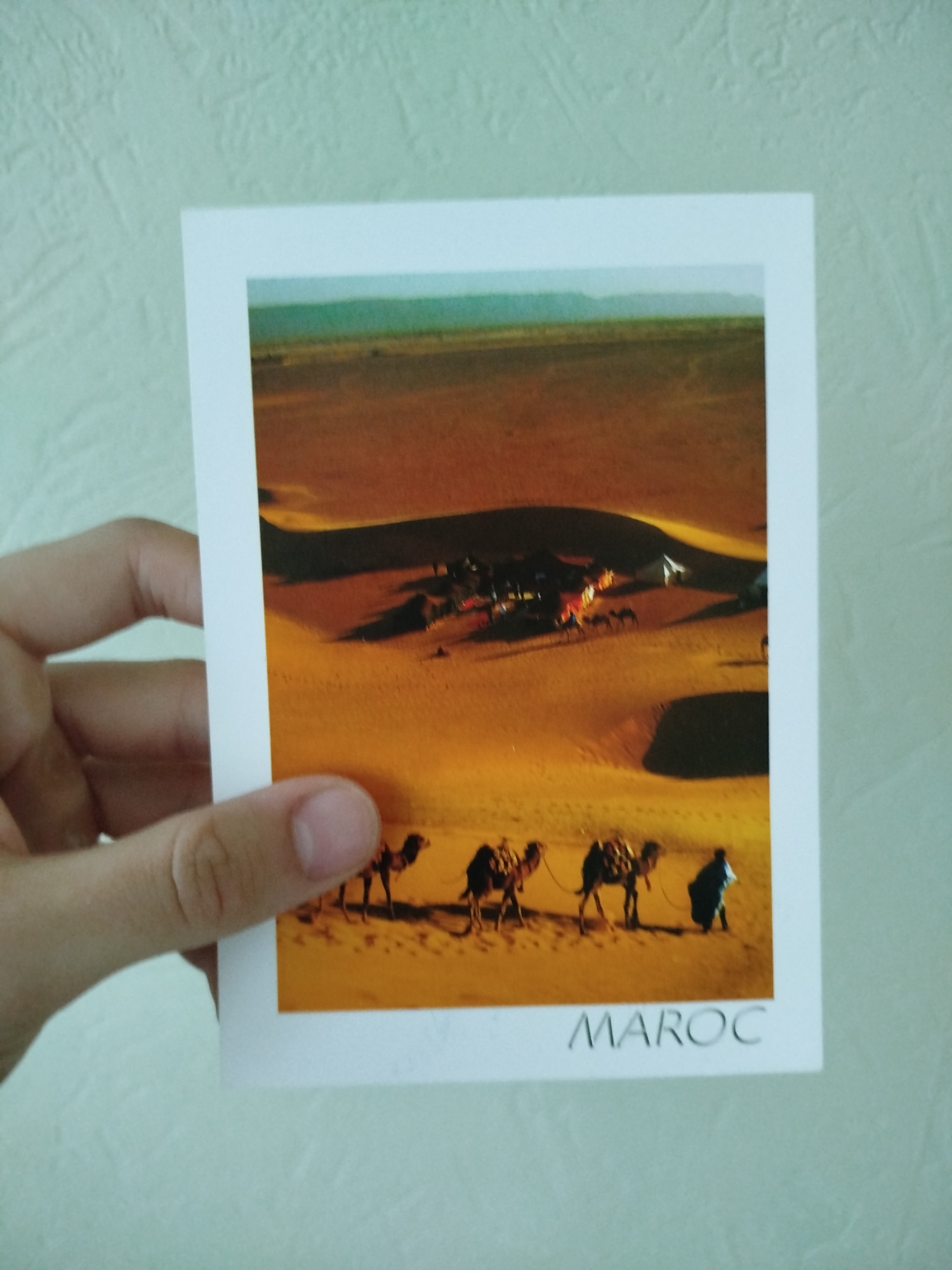 A hand holds a postcard depicting a desert scene in Morocco. The postcard showcases a landscape of rolling sand dunes under a hazy sky. A caravan of camels is visible, moving across the dunes, led by a figure in traditional clothing. In the distance, there is a settlement or encampment with tents and activity. The word "MAROC" is printed at the bottom of the postcard. The background behind the hand is a light-colored wall. The location of Varna, Bulgaria is not evident from the image.