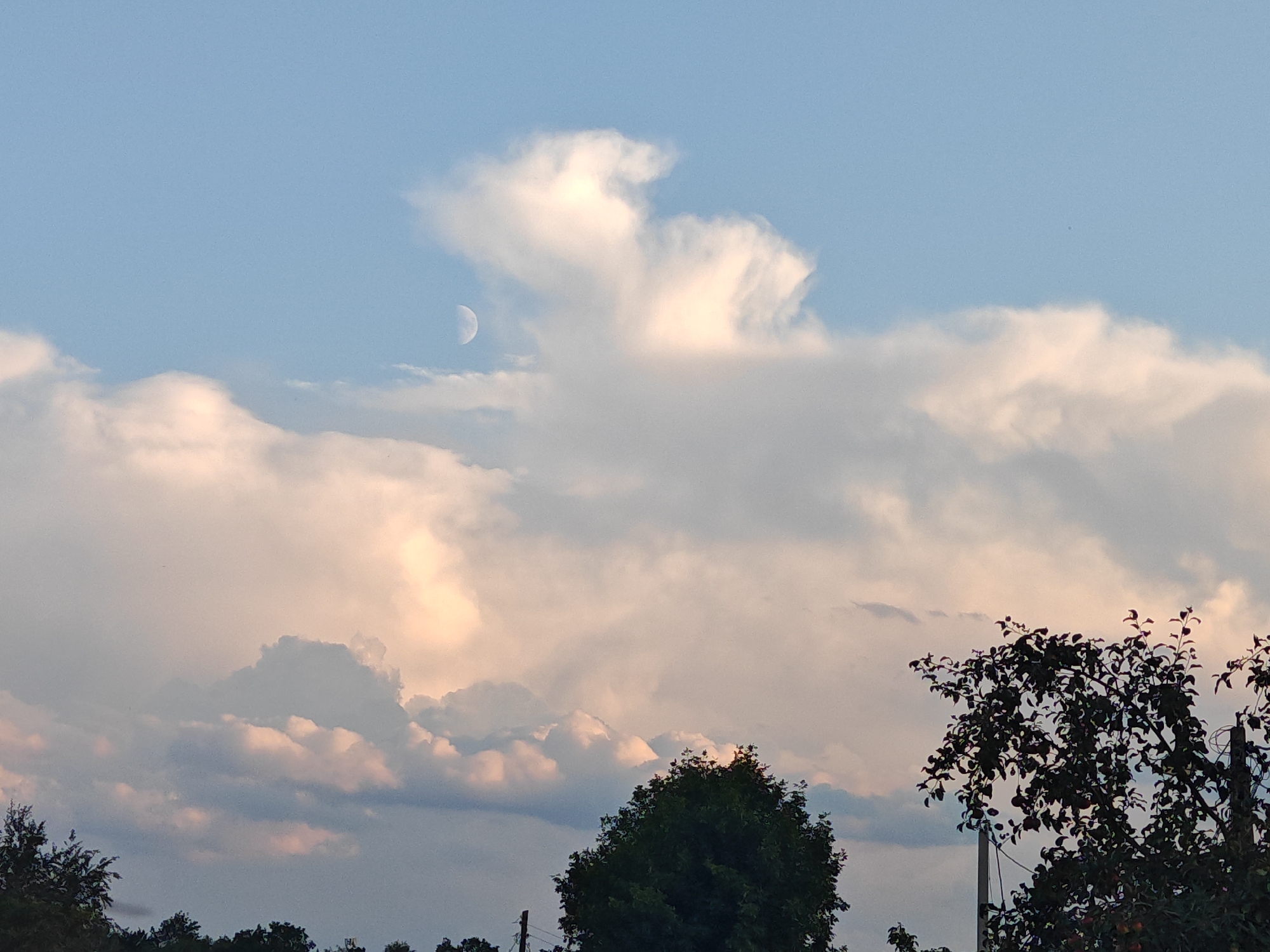 The image captures a natural scene with a sky filled with clouds and the moon. In the foreground, the silhouettes of trees and what appears to be a telephone pole are visible against the sky. The sky itself is a gradient of blue and white, with fluffy clouds illuminated by warm, soft light, suggesting either sunrise or sunset. A crescent moon is visible in the upper left quadrant of the sky, partially obscured by a cloud. The overall impression is serene and natural. There are no people or specific man-made structures that would allow for identification of a specific location within the city of Homyel, Belarus.