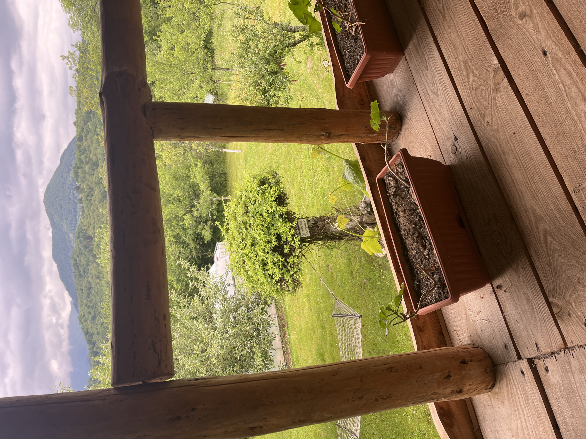 The image shows a view from a wooden porch in Shopite, Bulgaria. The porch has log railings and a wooden plank floor. Two rectangular planters sit on the porch floor, each containing soil and small plants. Beyond the porch railing, there's a green lawn with a hammock strung between trees. A round, dense bush is visible in the middle of the lawn. Further in the background, trees and vegetation extend toward a mountain range visible on the left, under a cloudy sky.