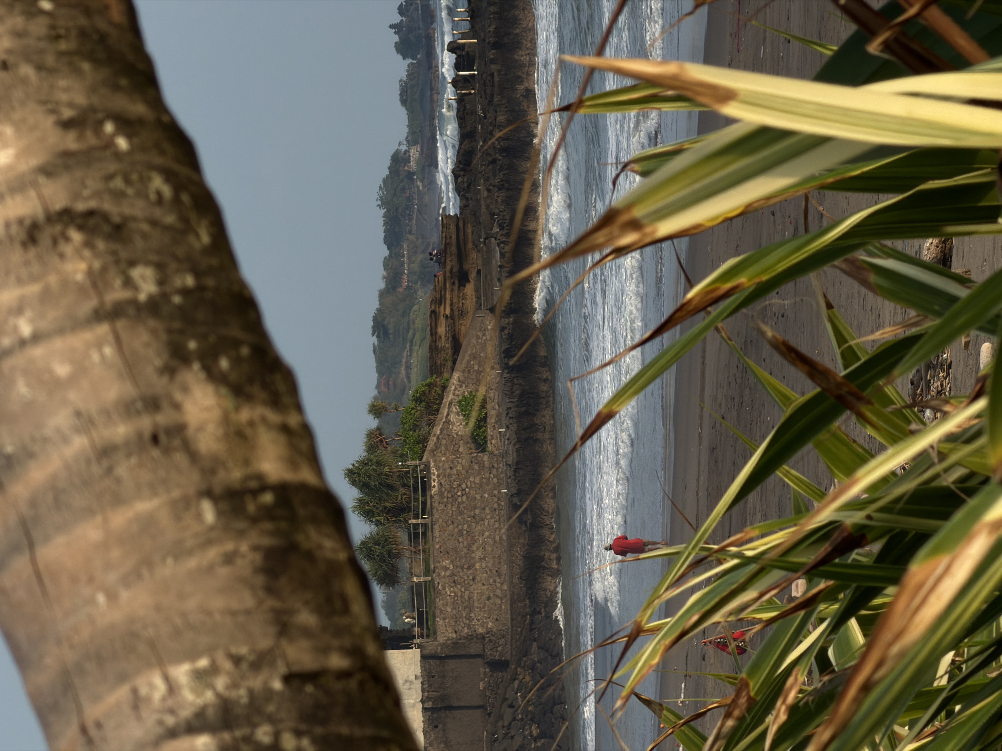 A wide-angle coastal scene in Belalang, Indonesia, is observed during golden hour, characterized by warm light. The upper portion of the frame is dominated by a large, out-of-focus brown palm tree trunk extending horizontally. The lower foreground features out-of-focus, variegated green and yellow-striped foliage. In the midground, a dark sand beach is visible, where a single individual, viewed from behind, wears a red shirt and shorts while wading in the shallow, white-capped ocean surf. Beyond the immediate beach, a dark, rocky coastline is prominent. To the left, a multi-tiered stone wall and embankment rise, supporting a flat elevated area with scattered green, spiky vegetation positioned behind a low wooden fence. Further along the rocky coast to the right, two small groups of individuals are discernible sitting on a raised rocky platform near the water. A structure composed of several vertical white pillars is present within the water or on a rocky shelf closer to the distant shoreline. The background consists of rolling hills covered in dense green foliage, with several structures visible intermittently. The sky is clear and light blue.