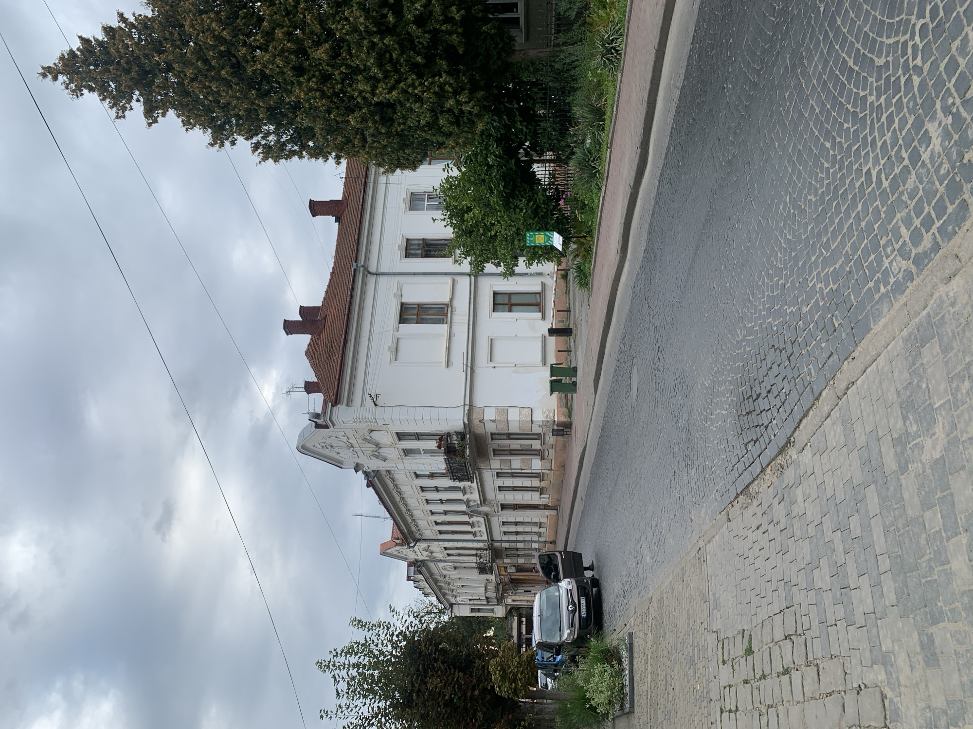 This is a street-level, eye-level, medium shot of a cobblestone street in Kolomyia, Ukraine, on an overcast day. On the right side of the street, a row of multi-story, white buildings with red tile roofs are visible. The buildings have decorative white facades with arched windows and balconies. A large, green coniferous tree stands in front of the rightmost building. On the left side of the street, a sidewalk made of grey cobblestones is present. A dark-colored van with its passenger door open is parked on the street, and a person is standing next to it, partially visible. Further down the street, other cars are parked, and more of the white buildings continue down the block. The street itself is paved with dark grey cobblestones. Two green trash bins are situated near the buildings on the right. A sign with green and white text is visible in a garden area to the right of the buildings. Overhead, power lines crisscross the sky, and heavy clouds obscure the sun.