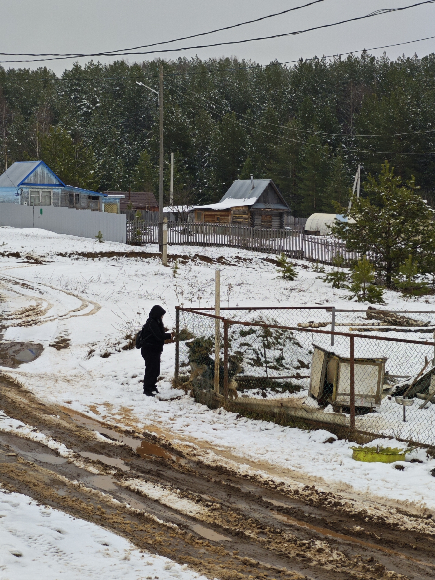 The image captures a winter scene, presumably in a rural area, possibly near Markovo, Russia. A person dressed in black stands near a dilapidated fence, seemingly interacting with something inside the enclosed area. The ground is a mix of snow and muddy tracks, suggesting recent vehicle or foot traffic. In the background, there are scattered wooden houses, characteristic of rural Russian settlements, and a dense forest with snow-dusted trees under a cloudy sky. Overhead, power lines are visible. The overall impression is one of a cold, somewhat desolate rural landscape.