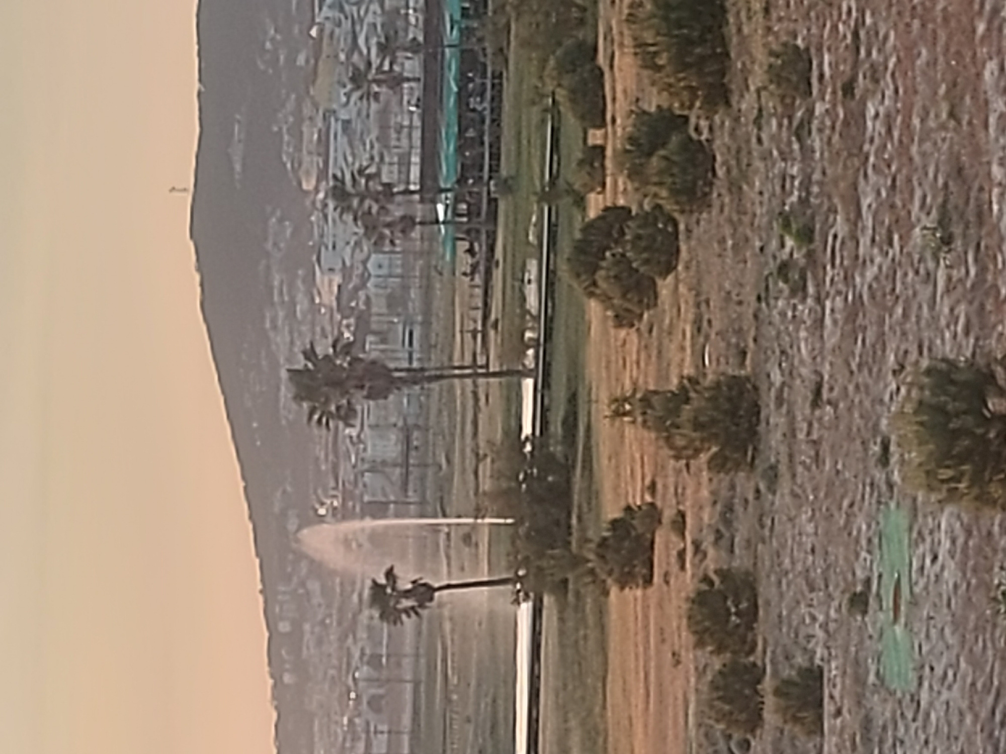 The image depicts a cityscape in Figueira da Foz, Portugal, with a mountain in the background and a row of palm trees alongside a green area featuring sprinkler systems. The lighting suggests either sunrise or sunset. The immediate foreground consists of textured terrain and sporadically placed bushes or shrubs. A line of fencing and buildings are visible near the palm trees.