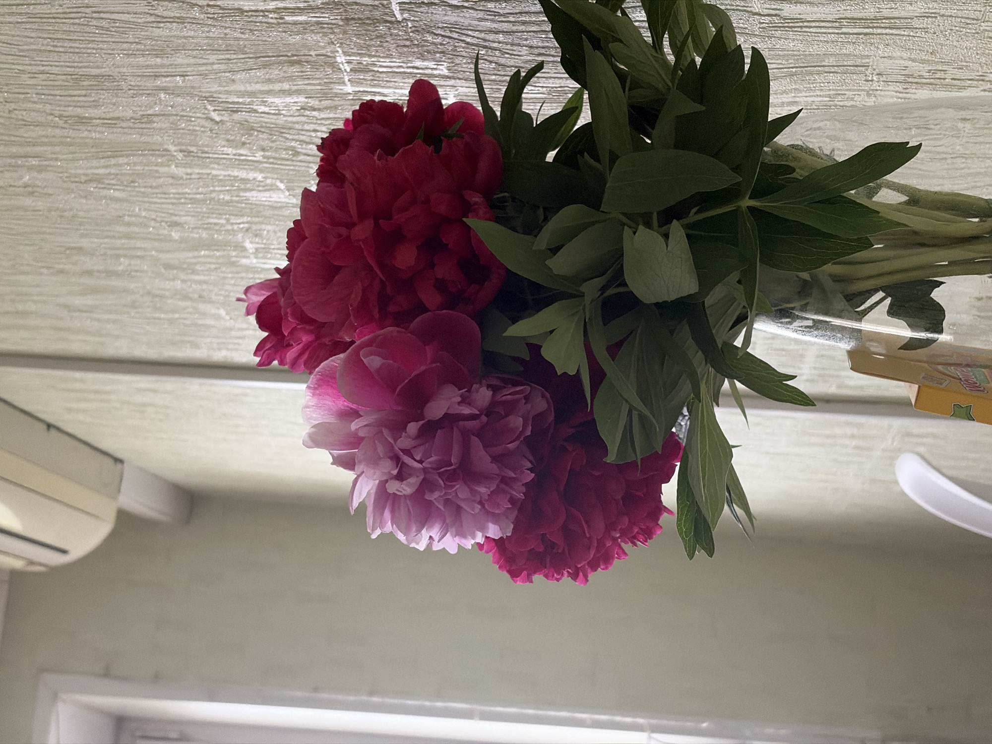 A vibrant bouquet of peonies, displaying a gradient of colors from soft pink to deep fuchsia and crimson, stands in a clear glass vase. Lush green foliage surrounds the flower heads and extends down the visible stems within the transparent vase. The flowers are arranged against an indoor backdrop featuring two distinct walls: a smooth, light-colored wall on the left, partially revealing a white-framed window, and a textured, vertically ridged wall on the right. An off-white, horizontally slatted air conditioning unit is mounted high on the upper left wall. Natural light illuminates the scene, appearing to originate from the window on the left. In the lower-left foreground, a partial white, curved object, possibly a chair back, is visible. To the right, a yellow and orange rectangular package with discernible graphics rests adjacent to the base of the vase. The specific location in Chaikovsky, Russia, cannot be visually ascertained from the image. No people are present, and no actions or interactions are depicted.