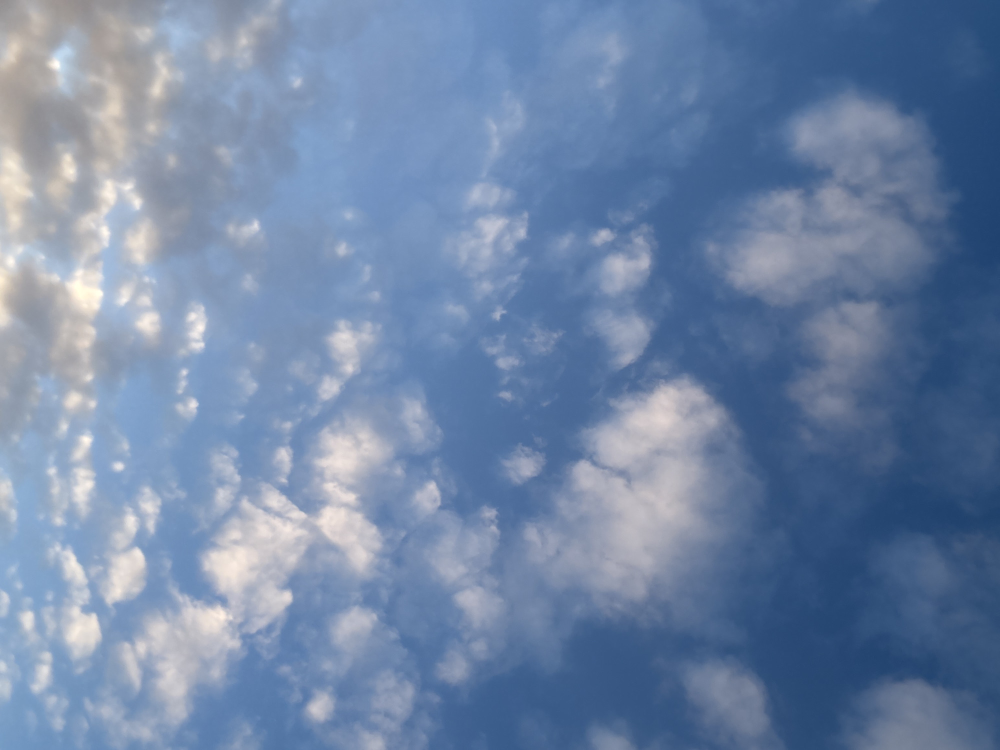 The image captures a sky filled with scattered clouds against a clear blue background. The clouds are predominantly white and appear to be a mix of altocumulus and stratocumulus, characterized by their patchy, rounded, and somewhat wavy formations. They vary in density and illumination, with brighter, more illuminated sections, particularly on the left side, and some areas showing subtle shadows, suggesting depth.
The blue of the sky ranges from a lighter, somewhat hazy tone where clouds are denser to a deeper, more vibrant blue in the clearer areas, especially towards the right and bottom of the frame. The lighting indicates it is daytime, with hints of warmer light on some cloud edges that might suggest early morning or late afternoon sun.
There are no people, man-made objects, or specific geographical features visible within the image itself. The scene depicts a natural sky formation, with no discernible activity taking place. No text is visible in the media. The overall impression is one of natural calm and openness, representing a typical partly cloudy day, potentially over Saint Petersburg, Russia, as per the provided context.