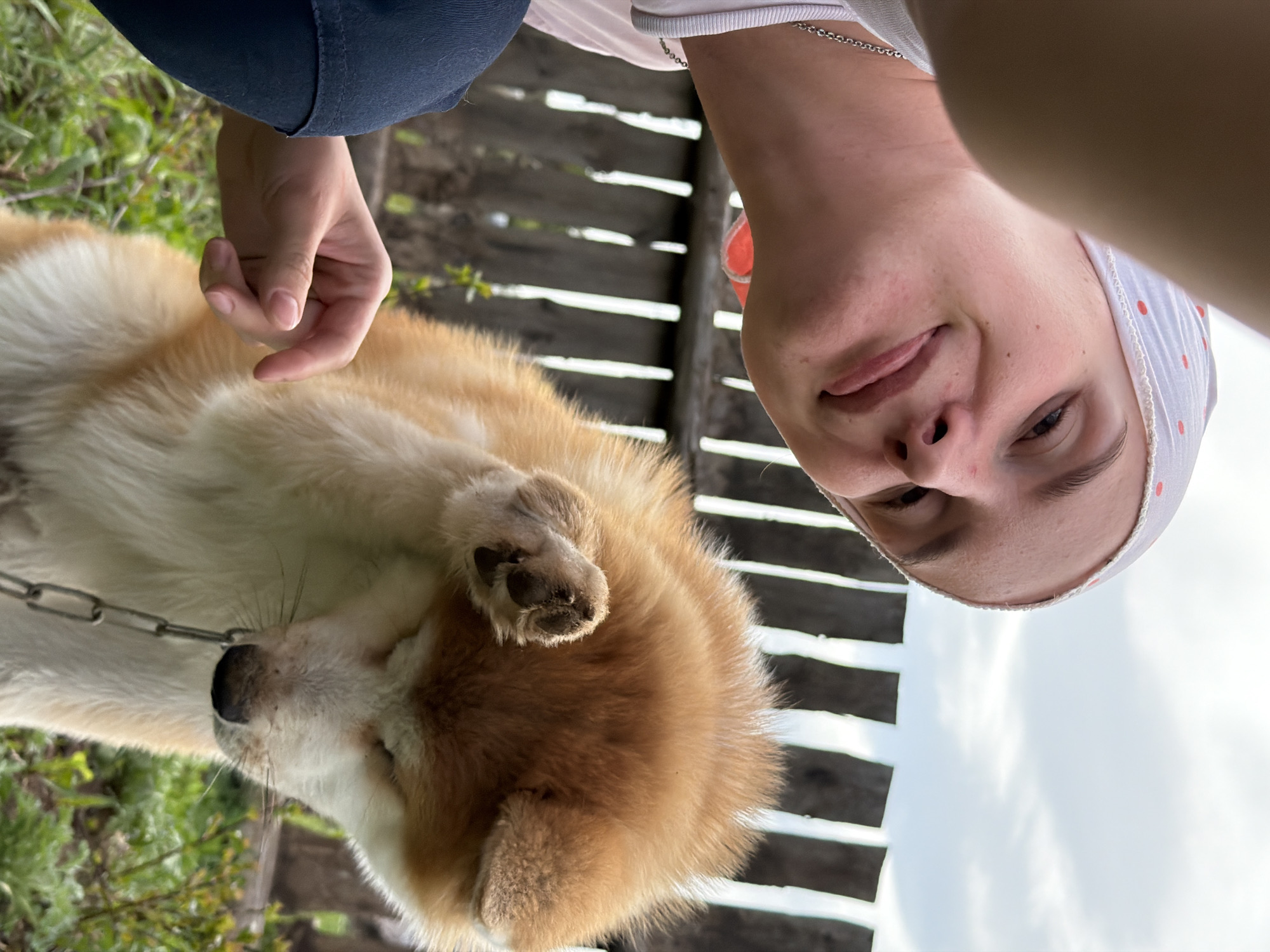 A selfie captures a person with fair skin and a headscarf, positioned above a dog with light tan and white fur. The dog is on a chain, and its paw is raised towards the person's hand. The background includes a wooden fence and vegetation. The person is likely located in the city of Chaikovsky, Russia, based on the context provided.