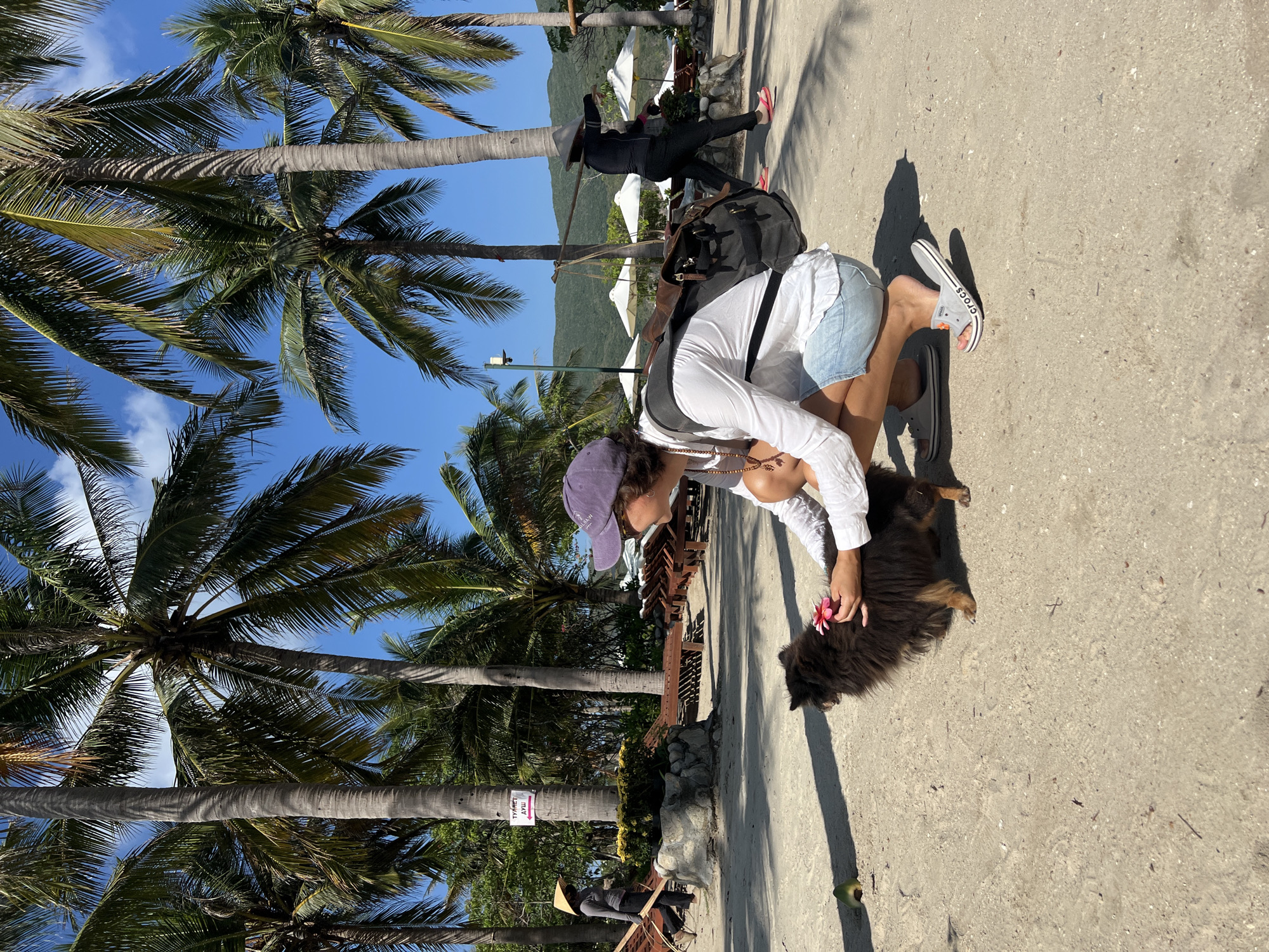 A person wearing a white shirt, jean shorts, and a purple hat is crouching down to pet a large, dark-colored dog. The person is holding a pink flower near the dog's head. The scene takes place outdoors on a paved area with palm trees lining the background. Other people are present in the distance, along with some structures that are covered with a white tarp, possibly part of a market or gathering place. The image suggests a bright, sunny day, consistent with a tropical location, and is taken in Nha Trang Ward, Vietnam.