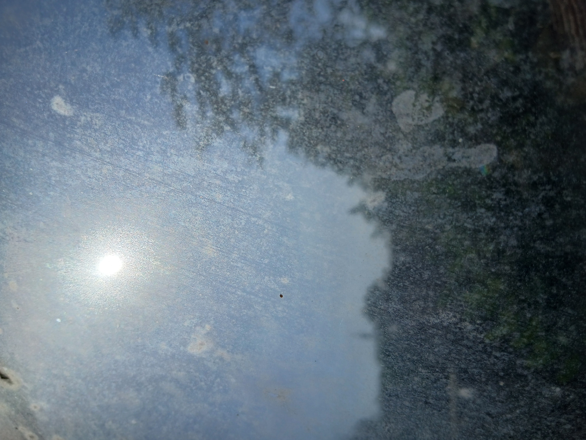 The image is a close-up, low-angle shot of a dirty window with the sun in the upper left quadrant, partially obscured by smudges and streaks on the glass. Through the window, a hazy, out-of-focus view of trees and buildings is visible. The overall impression is one of a somewhat neglected or weathered urban environment, possibly a residential or commercial area. The specific location of Tenggarang, Indonesia is not discernible from the image itself. There are no people or discernible actions depicted.