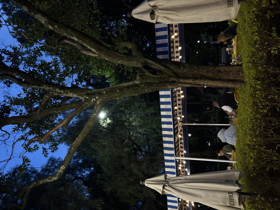 An outdoor dining area under a large tree is illuminated by string lights. Tables are shaded by white umbrellas with blue and white striped awnings. Patrons sit at tables along a green hedge. The sky is a deep twilight blue.