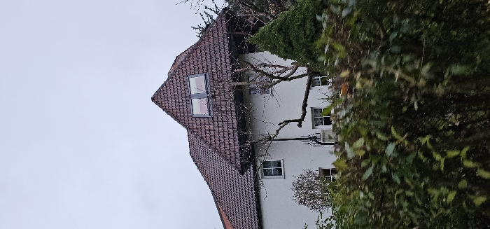 A two-story residential house with white walls and a steeply pitched, reddish-brown tiled roof is observed under an overcast sky in Kamenz - Kamjenc, Germany. The roof features a prominent gable dormer with a dual-paned, dark-framed window unit. Multiple windows with white frames are visible on the building's facade. The lower portion of the house is partially obscured by a dense, dark green hedge in the foreground. Several bare-branched trees and a conical evergreen tree flank the structure. No individuals or overt activity are present within the frame.