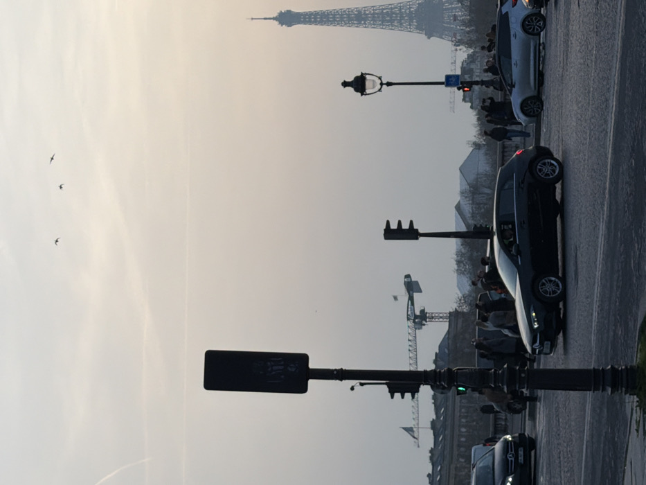 The image presents an urban street scene in Paris, France, captured from the Pont de la Concorde or a nearby point on the Right Bank, facing southwest towards the Eiffel Tower under diffuse daylight or early dusk conditions. The Eiffel Tower is visible in the far background on the right, partially obscured by atmospheric haze.
In the foreground, a multi-lane asphalt roadway occupies the lower section. A dark five-door Mercedes A-Class hatchback is centrally positioned, oriented towards the right. A dark Mercedes V-Class van is partially visible on the far left. Further right, a silver five-door hatchback/SUV is present in the mid-distance. Multiple pedestrians are discernible on sidewalks and a crosswalk, appearing largely as silhouettes.
Street infrastructure includes a prominent black signpost in the immediate foreground, three black traffic light poles (one displaying a green light for vehicles, another a red light for pedestrians), and an ornate black lamppost with a lit fixture. In the mid-distance, on the left, a large classical building with columns, identifiable as the Assemblée Nationale (Palais Bourbon), is visible. Two large construction cranes are also present in the background, with flags affixed to one of them. The sky is pale and hazy, featuring three birds in flight in the upper-right quadrant and a faint contrail in the upper-left.