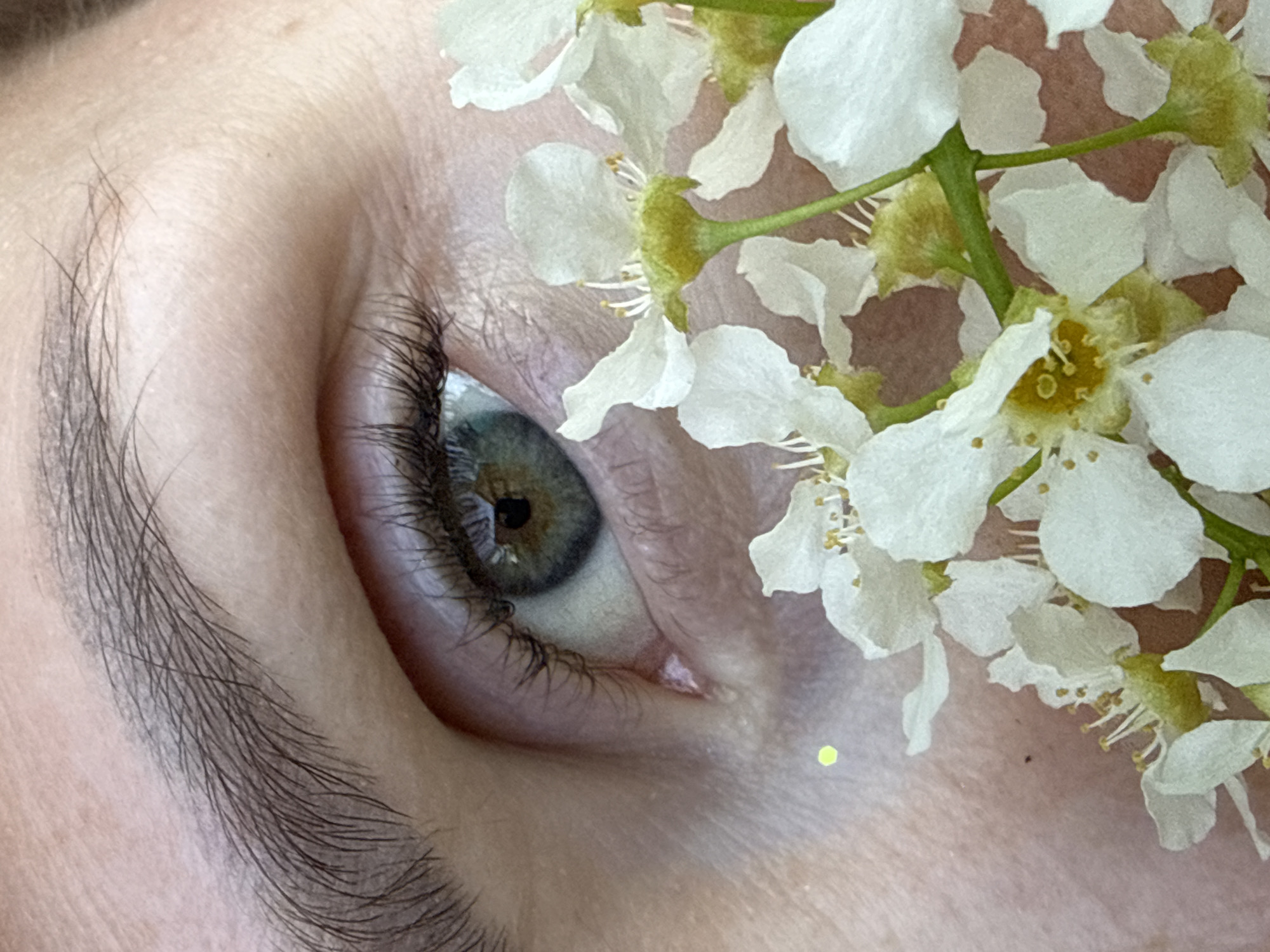The image is a close-up of a human eye, surrounded by white flowers. The eye is light colored with dark eyelashes. The eyebrow is visible on the left side of the image. The right side of the image is obscured by a cluster of small white flowers with yellow centers. There is no indication of location or city in the image.