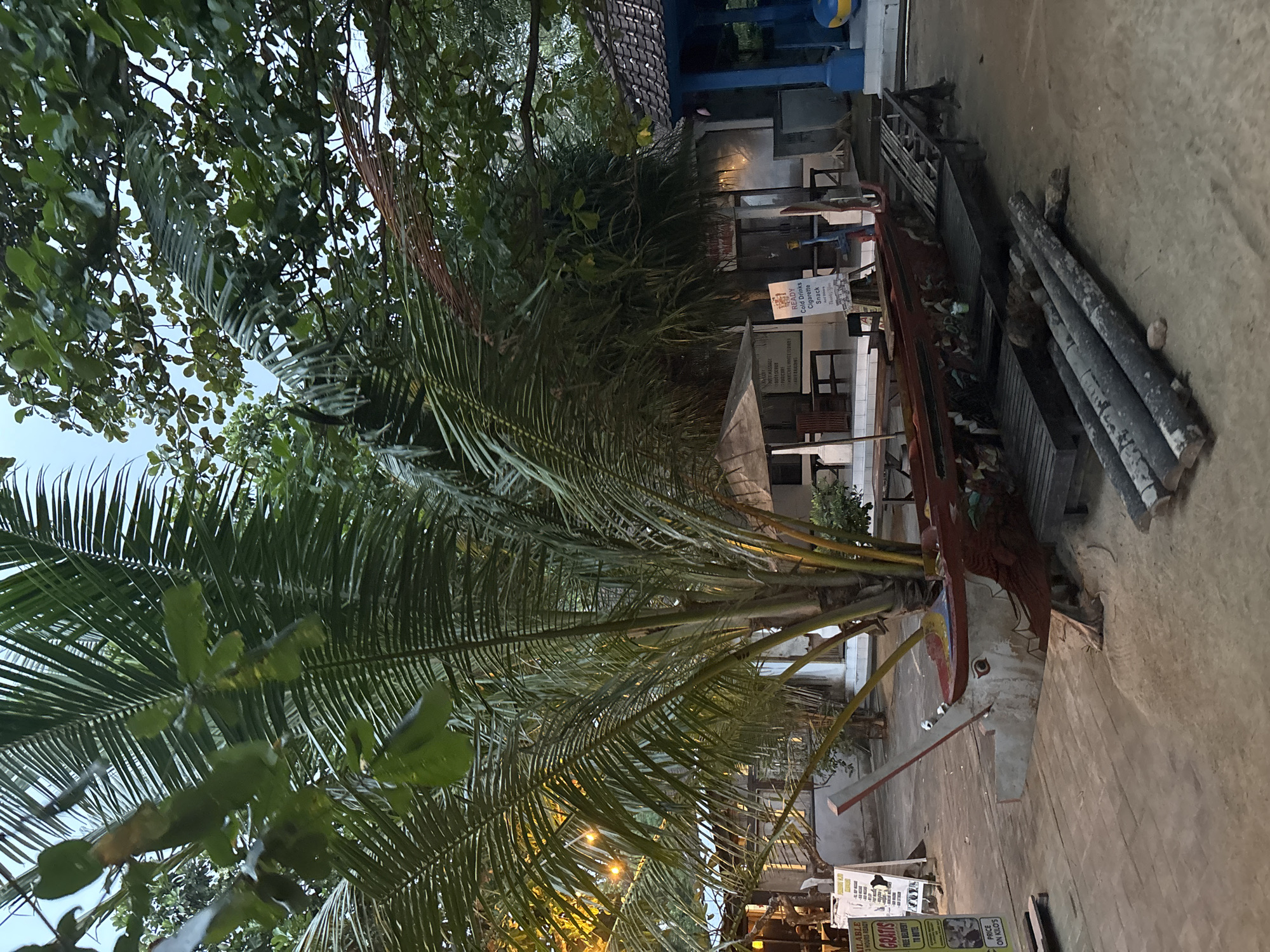 The image depicts an outdoor scene at dusk, likely a beachfront or a tropical resort area in Denpasar, Indonesia. In the foreground, a weathered, dragon-shaped wooden structure rests on a sandy surface, with several large logs piled in front of it. Behind the structure, a prominent palm tree with lush fronds dominates the center of the frame, its trunk visible. To the left of the palm tree, a low-lying building with a covered outdoor seating area is visible, with string lights casting a warm glow. A sign advertising "GRATIS" (free) and "PRICE ON KILO" is placed near the building. To the right of the palm tree, another building with a blue-tiled roof and blue pillars stands, suggesting part of a larger establishment. Dense foliage from various trees and plants surrounds the buildings, creating a tropical ambiance. The sky above is overcast, indicating evening or an impending storm. The ground appears to be a mix of sand and some paved or wooden surfaces. The scene conveys a relaxed, possibly commercial, atmosphere typical of a tourist destination. There are no people visible in the image.