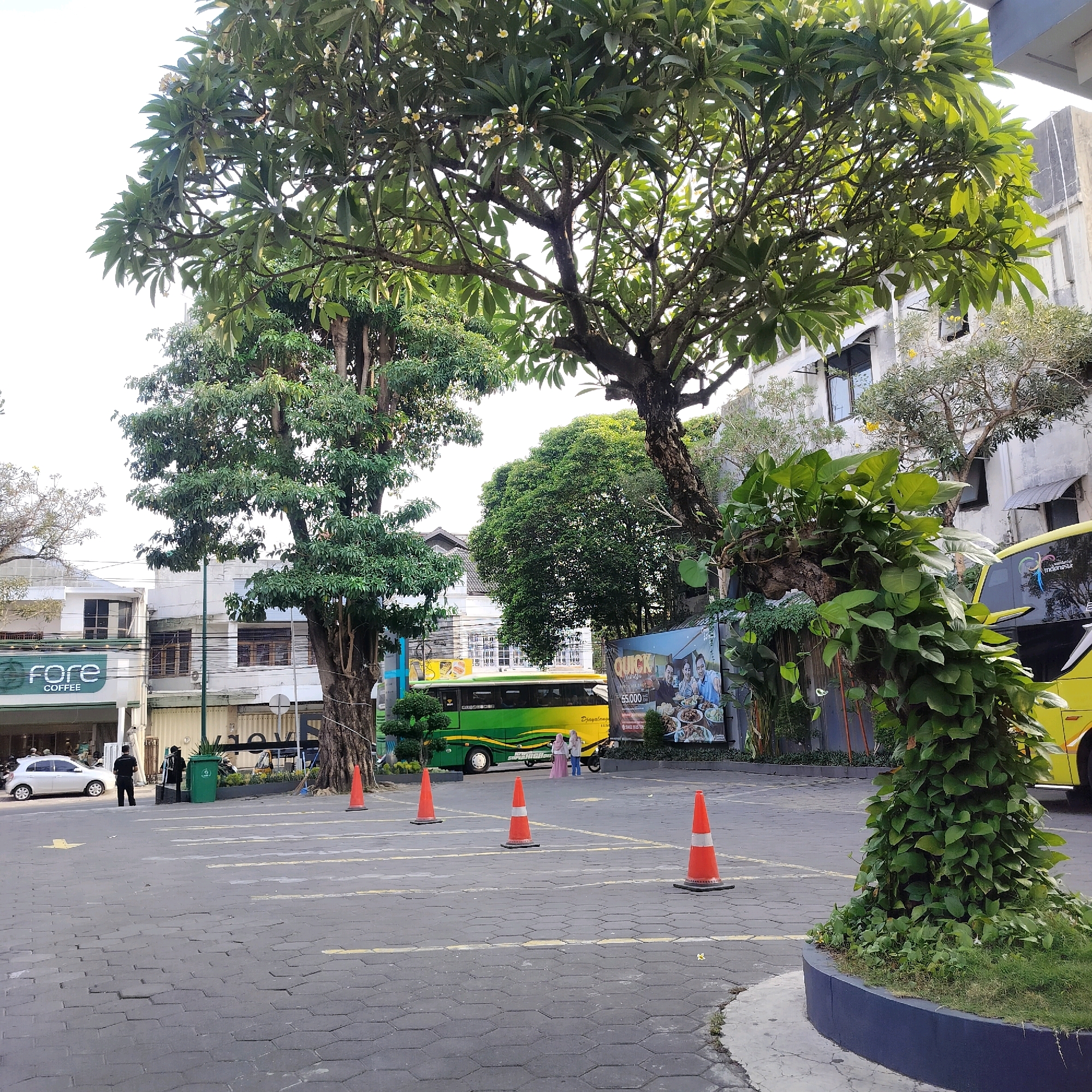 The image depicts an outdoor scene, likely a parking lot or street area in Yogyakarta, Indonesia. In the foreground, a grey paved area with hexagonal tiles is marked with yellow lines indicating parking spaces. Several orange traffic cones are placed on these lines.
Dominating the midground and background are large trees with lush green foliage. Behind the trees, a white building with multiple windows and a signage that reads "fore COFFEE" is visible on the left. Adjacent to the coffee shop is a bright green and yellow bus with the word "Djayaloka" written on its side. Two individuals, dressed in headscarves, are standing near the bus. A white car is parked to the left of the bus.
On the right side of the image, a yellow bus is partially visible. A large billboard advertising "QUICK" with images of people and food is situated behind the trees and next to the yellow bus. A dense vine plant with large green leaves grows on a tree trunk in the right midground, obscuring part of the view. The overall environment appears to be urban, with buildings and vehicles present, amidst a significant presence of greenery. The lighting suggests it is daytime.