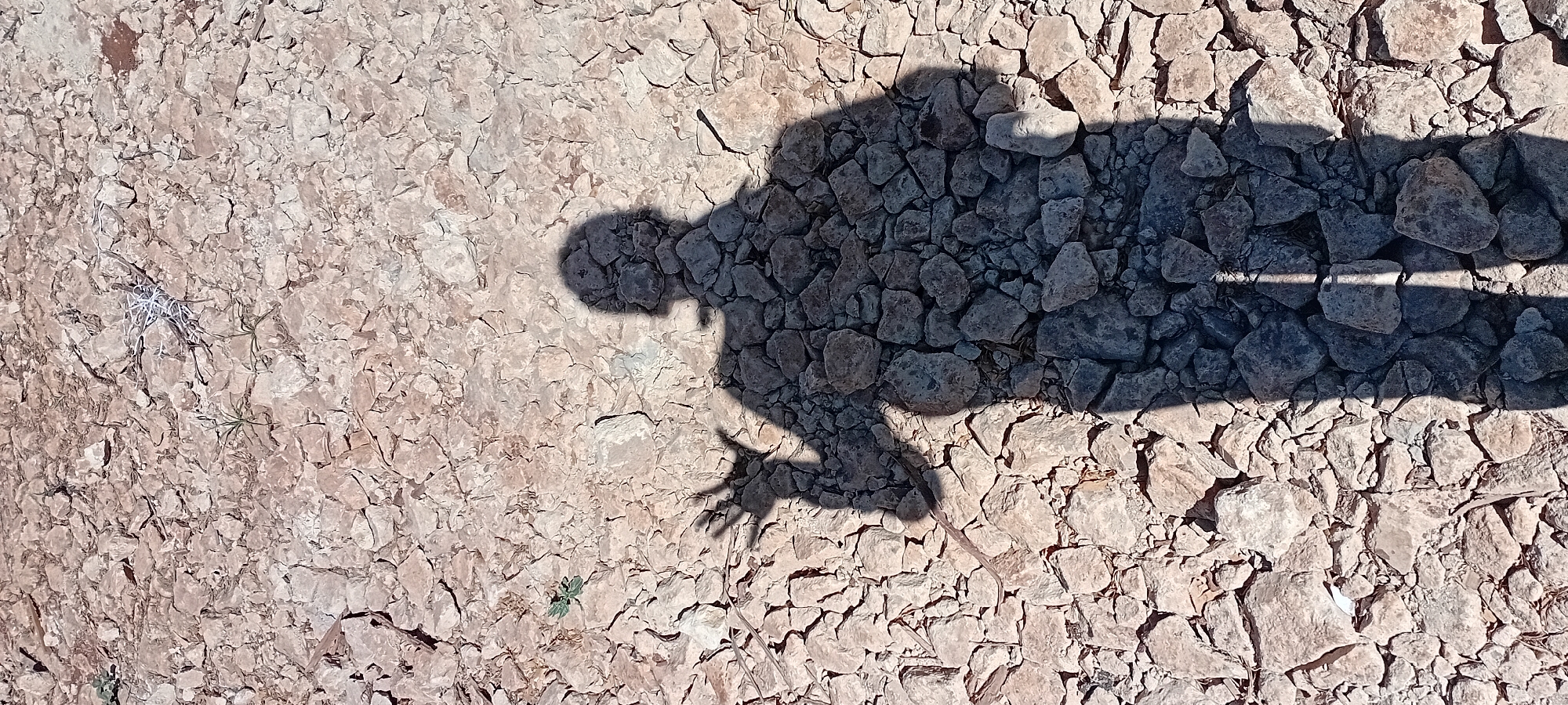 A person's shadow is cast on a rocky, arid ground. The shadow depicts a figure wearing a helmet and holding up one hand with fingers spread. The ground is composed of small, light-colored rocks and some dry vegetation. There are faint outlines of small plants emerging from the ground. The overall scene suggests an outdoor environment with sparse vegetation and a clear shadow indicating a bright light source, likely the sun. No specific location within Kijabe ward, Kenya, can be identified from the image alone, as the ground and vegetation are generic to arid or semi-arid regions.
