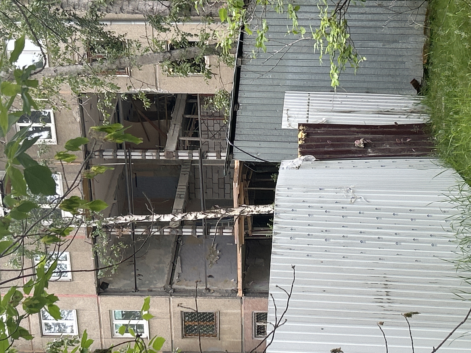 A multistory building under renovation or demolition is visible in Angarsk, Russia. The facade shows some windows with metal grates and intact windows on the upper floors. The lower floors are partially open, revealing exposed structural elements, concrete, and brickwork. A tall tree with a white trunk stands in front of the building, obscuring part of the facade. The foreground is partially blocked by a corrugated metal fence. A section of the fence is dark brown and rusted, with some debris attached to it. Another section of the fence is light gray and appears newer. Green grass grows at the base of the fence. The sky is not visible in the frame.