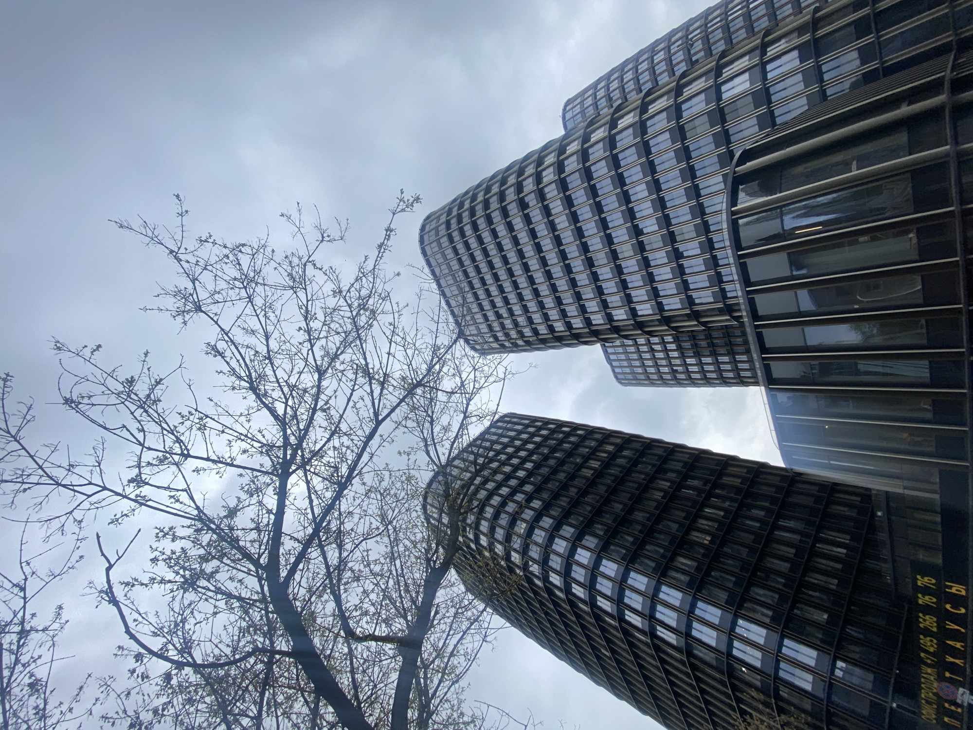 The image presents a low-angle view of modern, cylindrical skyscrapers against an overcast sky, partially framed by bare tree branches. Two prominent dark-facaded buildings are visible on the right, with a third partially seen in the upper right background. These buildings feature a distinctive curved or ribbed design, characterized by a repeating grid of reflective windows and dark structural elements.
In the foreground and spanning the left side, a network of slender, dark tree branches, largely devoid of leaves but showing nascent buds, suggests the early stages of spring or late winter. The sky is uniformly light grey and cloudy, indicating an overcast day.
On the lower section of the building on the far right, white Cyrillic text is visible. It reads "ОФИС ПРОДАЖ" (Sales Office), followed by a phone number: "+7 495 266 76 76", and "ПЕНТХАУСЫ" (Penthouses). This text identifies the building as a commercial or high-end residential complex. The scene captures a modern urban landscape in Moscow, Russia, juxtaposing contemporary architecture with natural elements under a muted, daytime sky.