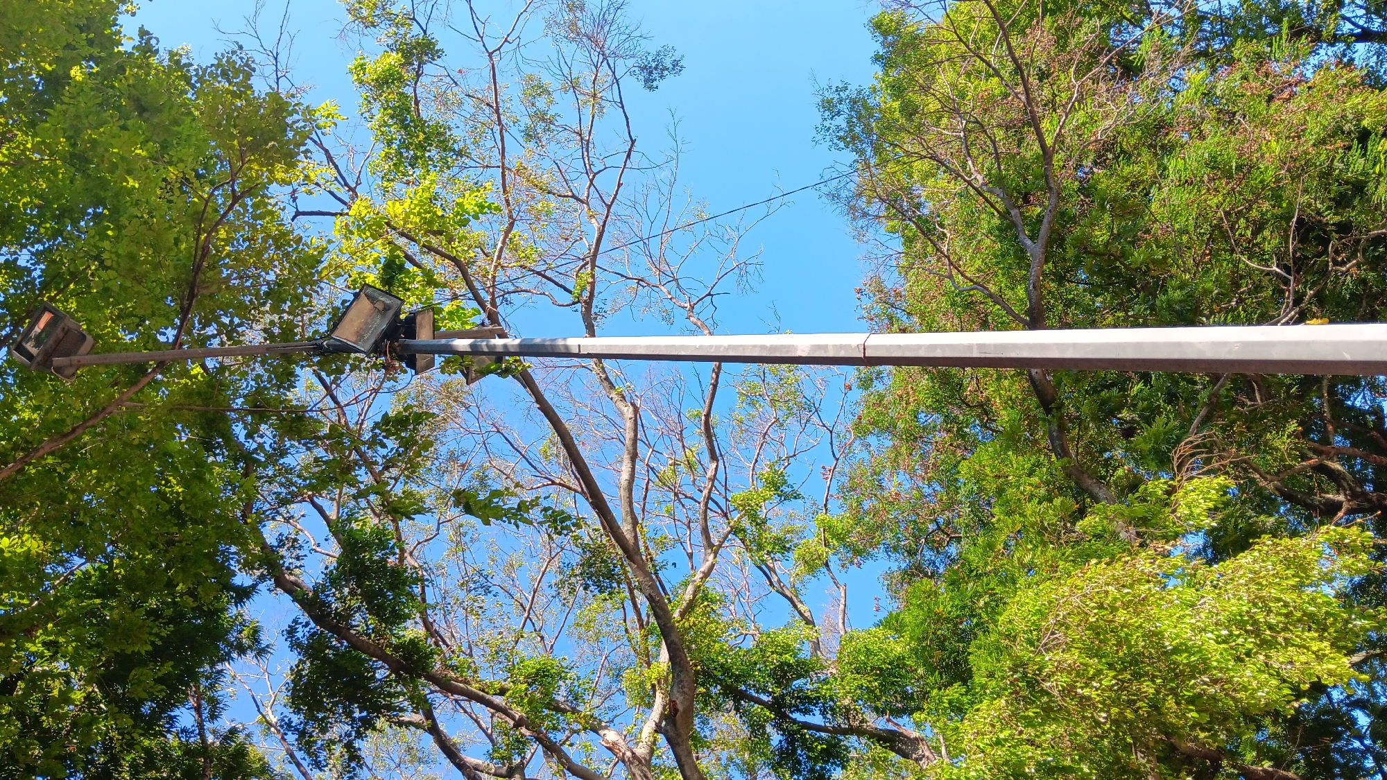 A tall, gray, octagonal pole with two floodlights attached stands vertically in the center of the frame, extending upwards into a bright blue sky. The pole is surrounded by lush green foliage and tree branches, with some branches overlapping the pole and lights. Sunlight filters through the leaves, creating bright spots and shadows. The image appears to be taken outdoors in a well-lit area, possibly a park or a street, in Nganjuk, Indonesia. There are no people visible in the image.