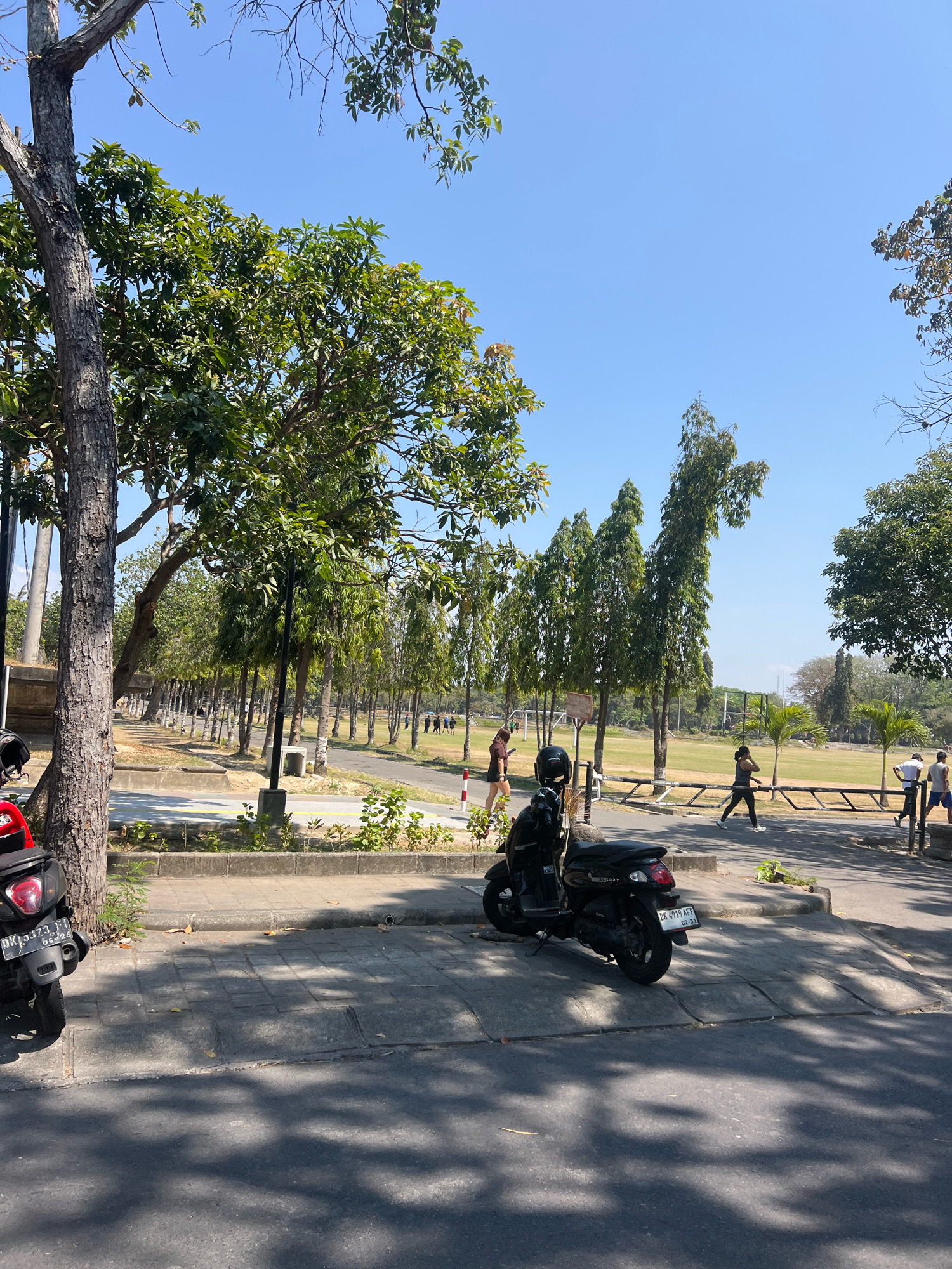 The image depicts a street scene in Denpasar, Indonesia, on a bright, sunny day. A black scooter is parked on a tiled sidewalk, with a red scooter partially visible to its left. A large tree with textured bark stands prominently in the foreground on the left. Beyond the sidewalk, a road runs parallel to a grassy field, where several individuals are engaged in various activities. Some people are walking, while others appear to be running or exercising on the field, which is bordered by a low wooden fence. Tall, slender trees line the edge of the road and the field, creating a pathway. The sky is clear and blue, with dappled sunlight casting shadows across the ground.