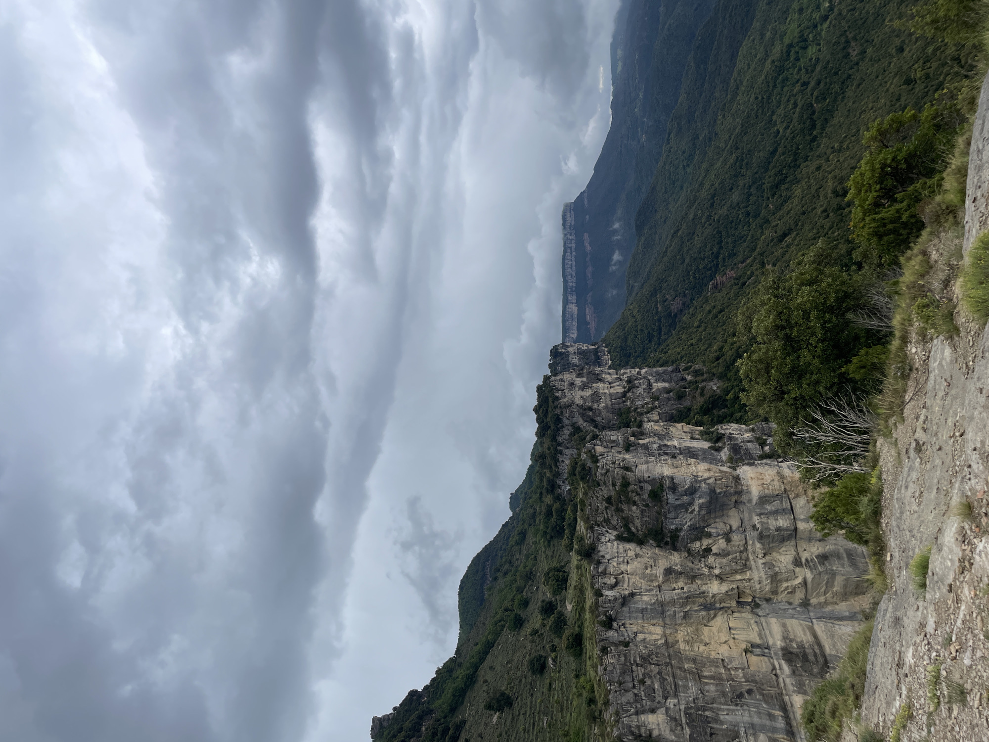 The image captures a dramatic landscape in Rupit i Pruit, Spain. A sheer cliff face dominates the foreground, its layered rock formations displaying various shades of grey and beige. Sparse vegetation clings to the cliff, hinting at the harsh conditions. Above, the sky is filled with heavy, overcast clouds, creating a somber atmosphere. In the distance, a mountain covered in lush, green forest stretches towards the horizon. The composition emphasizes the scale and rugged beauty of the natural environment.