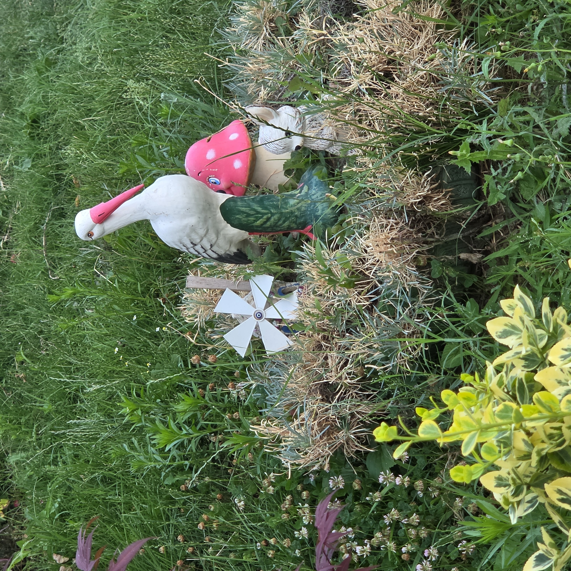 The image depicts a garden scene in Peshtera, Bulgaria, featuring several garden ornaments amidst lush green vegetation. A white stork figurine with a pink beak and orange eyes stands prominently. To its right is a red mushroom figurine with white spots and a smiling face. Partially visible behind the mushroom is a small, light-colored animal figurine, possibly a rabbit. In front of the stork and mushroom, a green boot figurine is situated, and to the left of these, a miniature white windmill is placed. The ornaments are surrounded by various plants, including grass, clover with small white flowers, and some dried, spiky vegetation. In the foreground, a variegated plant with yellow and green leaves is visible. The overall impression is a decorative garden arrangement.