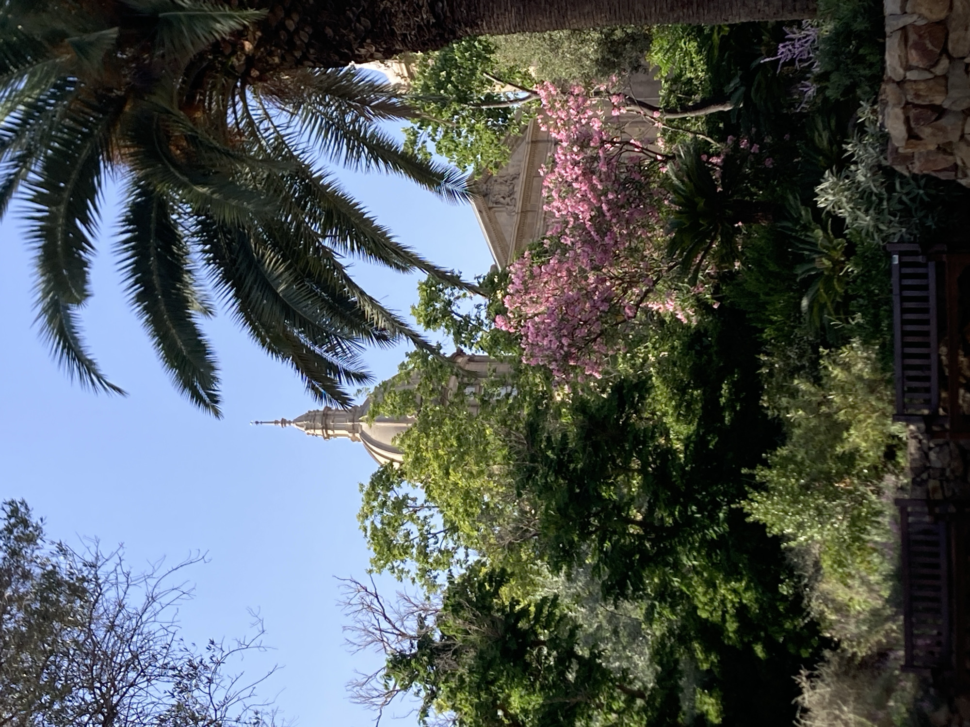 The image shows a view of the Palau Nacional, located in Barcelona, Spain. The building's dome is visible through lush green trees and a vibrant pink flowering tree in the foreground. A large palm tree trunk is prominent on the right side of the frame, with its fronds extending into the upper right corner. The sky is a clear blue. Two dark wooden benches are visible in the lower portion of the image, situated on a stone wall. The scene is set in a park-like environment.