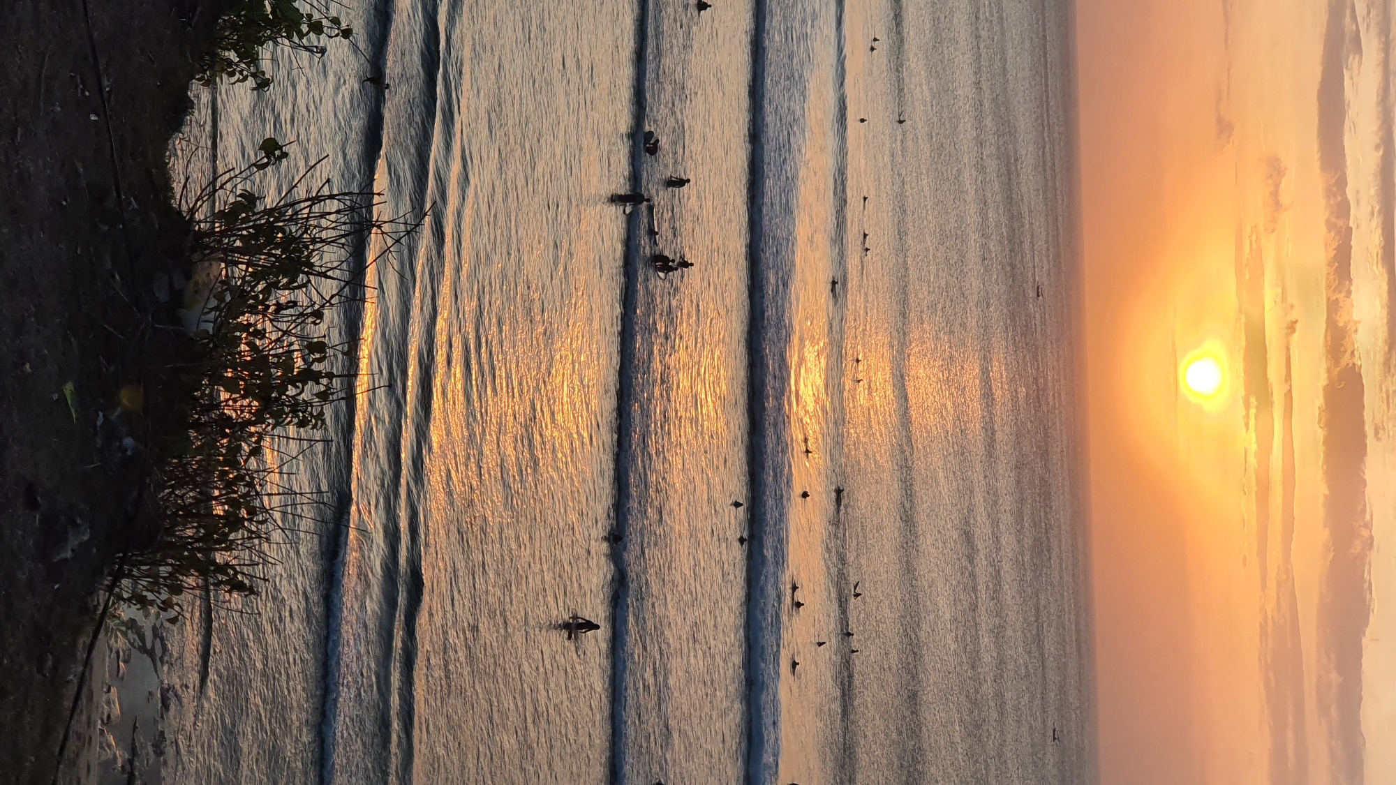 The image depicts a sunset over the ocean at Kuta Selatan, Indonesia. The sun, a bright orb of light, is low on the horizon, casting a warm, golden glow across the water and the sky, which is filled with soft, orange-hued clouds. The ocean is relatively calm, with gentle waves rolling towards the shore. Several surfers are visible in the water, scattered across the frame. Some are paddling, while others appear to be waiting for waves. Their dark silhouettes stand out against the shimmering surface of the sea. On the left side of the image, a dark, shadowy embankment is visible, covered with sparse, dry vegetation and a small amount of litter. The overall scene evokes a sense of peace and tranquility, characteristic of a beautiful sunset at a popular surfing destination. The time of day is clearly sunset, and the weather appears to be clear with some cloud cover. No visible text is present.